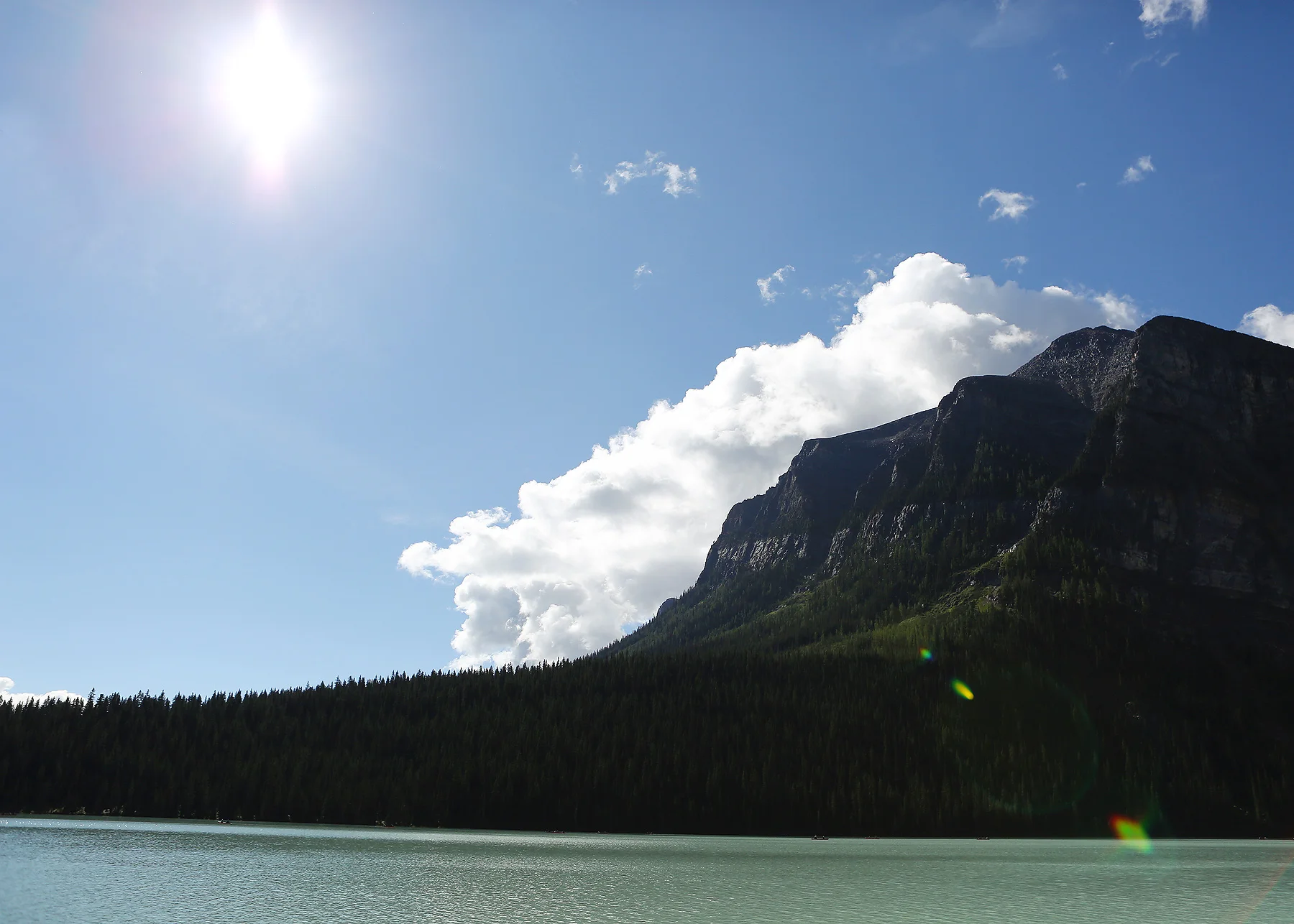 image_0183.jpg