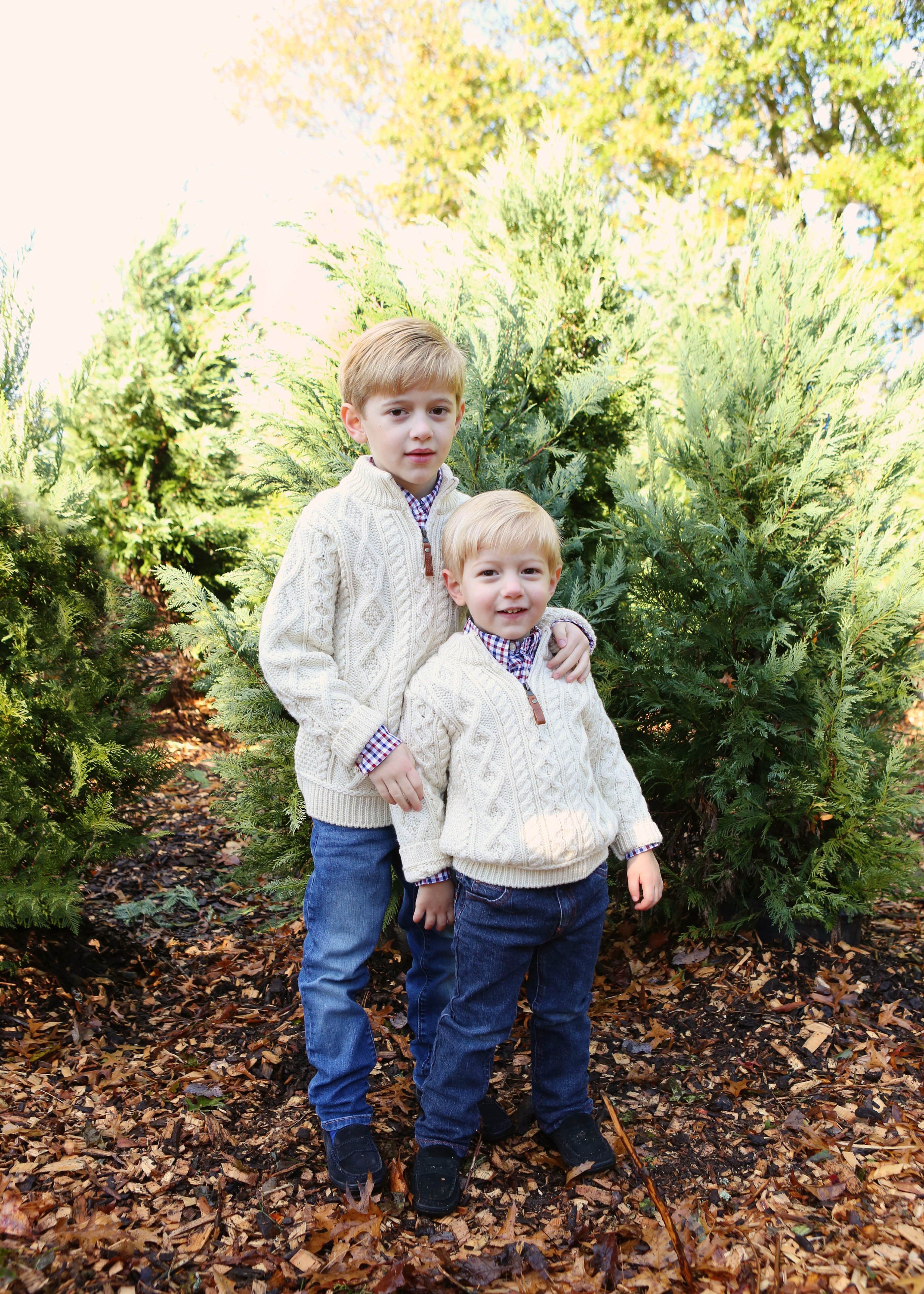 NJ and NYC based lifestyle photographer | Jennifer Lavelle Photography |  children and families, newborn, lifestyle, interiors, food and travel. Two brothers in a tree farm.