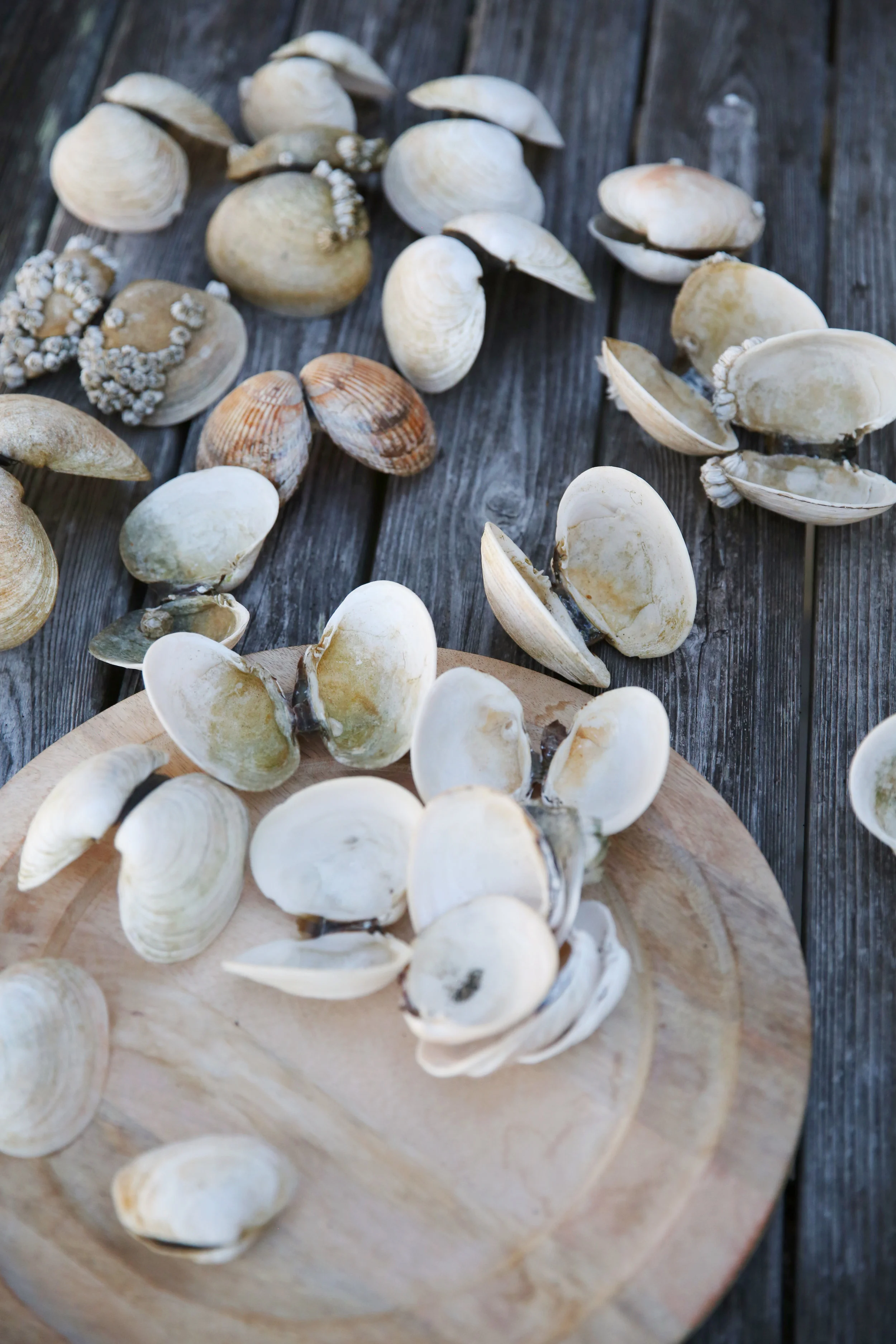  NYC and NJ based lifestyle still life + food photographer JENNIFER LAVELLE PHOTOGRAPHY - &nbsp;interiors, exteriors, still life, food, travel 