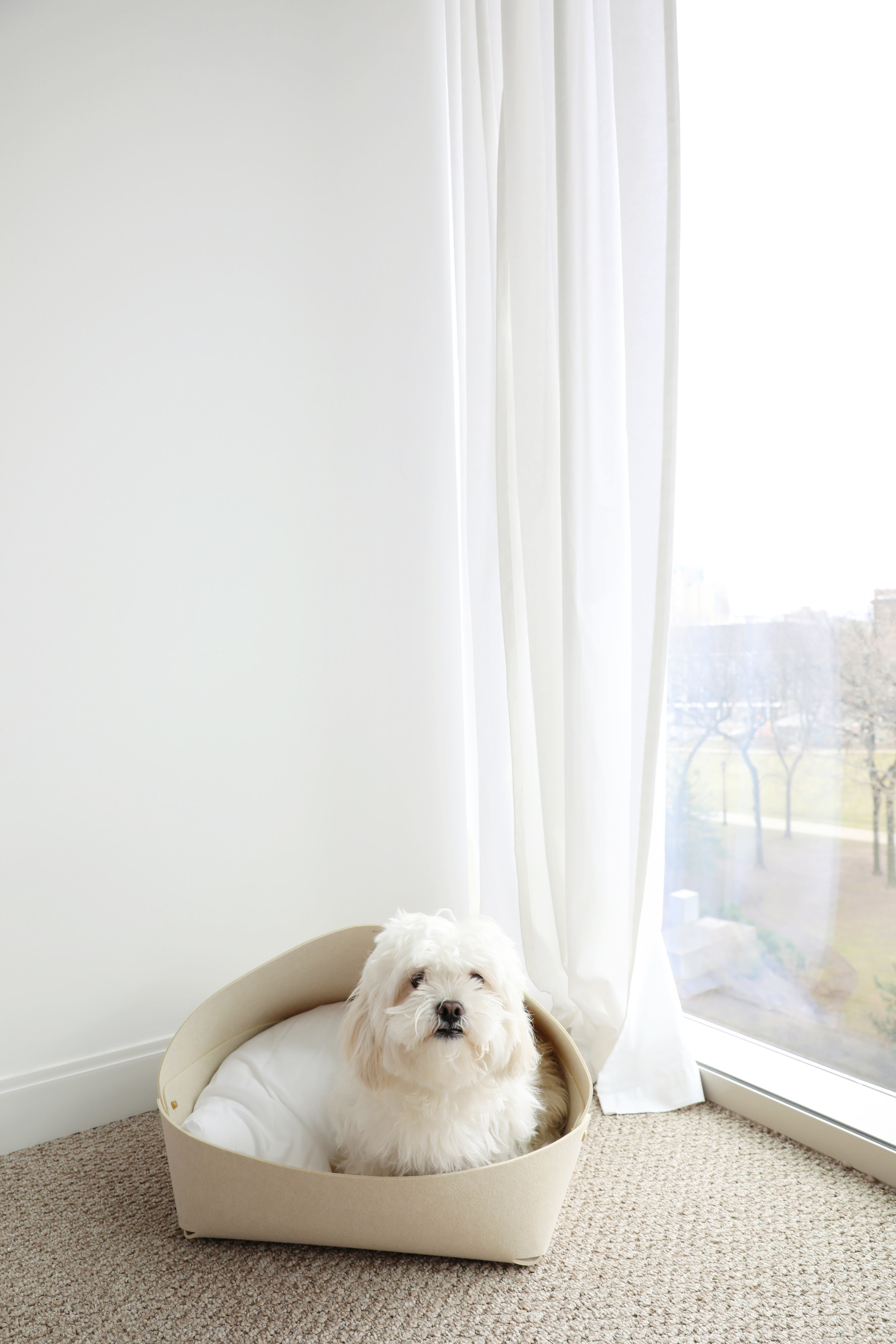 New Jersey and New York City based lifestyle interior design photographer JENNIFER LAVELLE PHOTOGRAPHY - interiors, exteriors, lifestyle photographer.