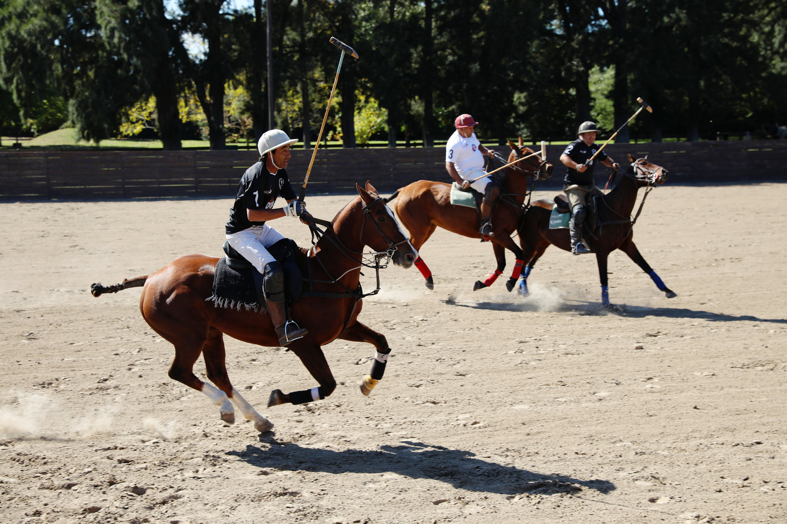 New York City based lifestyle travel photographer, Argentina, Buenos Aires, Polo, Malbac, Restaurants, Branding, Travel - JENNIFER LAVELLE PHOTOGRAPHER