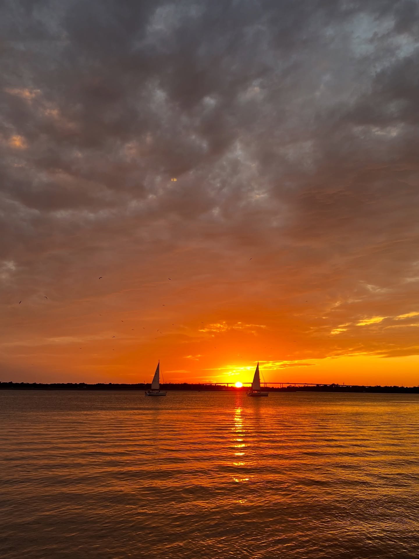October favorites 🗽✈️📖🎃🧑🏼👩🏼💍☁️🌸

Charleston sunset
A few days in NYC
I spy &ldquo;me&rdquo; with my little eye &hellip; 
My favorite book of the year so far
Central Park before the leaves changed 
Carnegie Hall
West Village cozy stoops
Molly