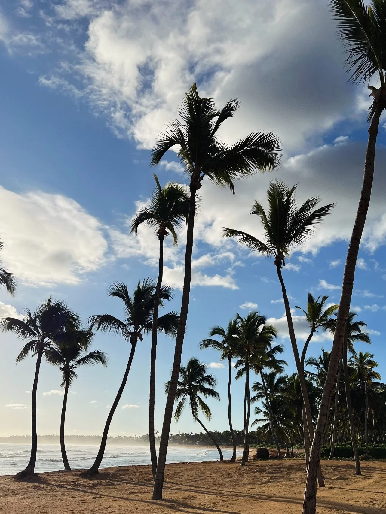 Never have I been so happy to say goodbye to a year. It has not been our best 12 months but we celebrated Christmas and the end of &lsquo;25 the best way we could &hellip; enjoying endless beautiful sunrises and sunsets 🌅

Wishing everyone a happy a