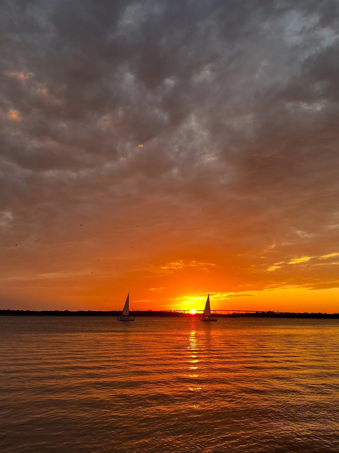 October favorites 🗽✈️📖🎃🧑🏼👩🏼💍☁️🌸

Charleston sunset
A few days in NYC
I spy &ldquo;me&rdquo; with my little eye &hellip; 
My favorite book of the year so far
Central Park before the leaves changed 
Carnegie Hall
West Village cozy stoops
Molly