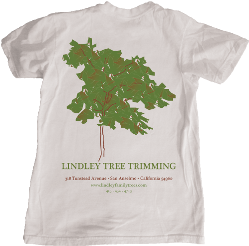 tee_back.png