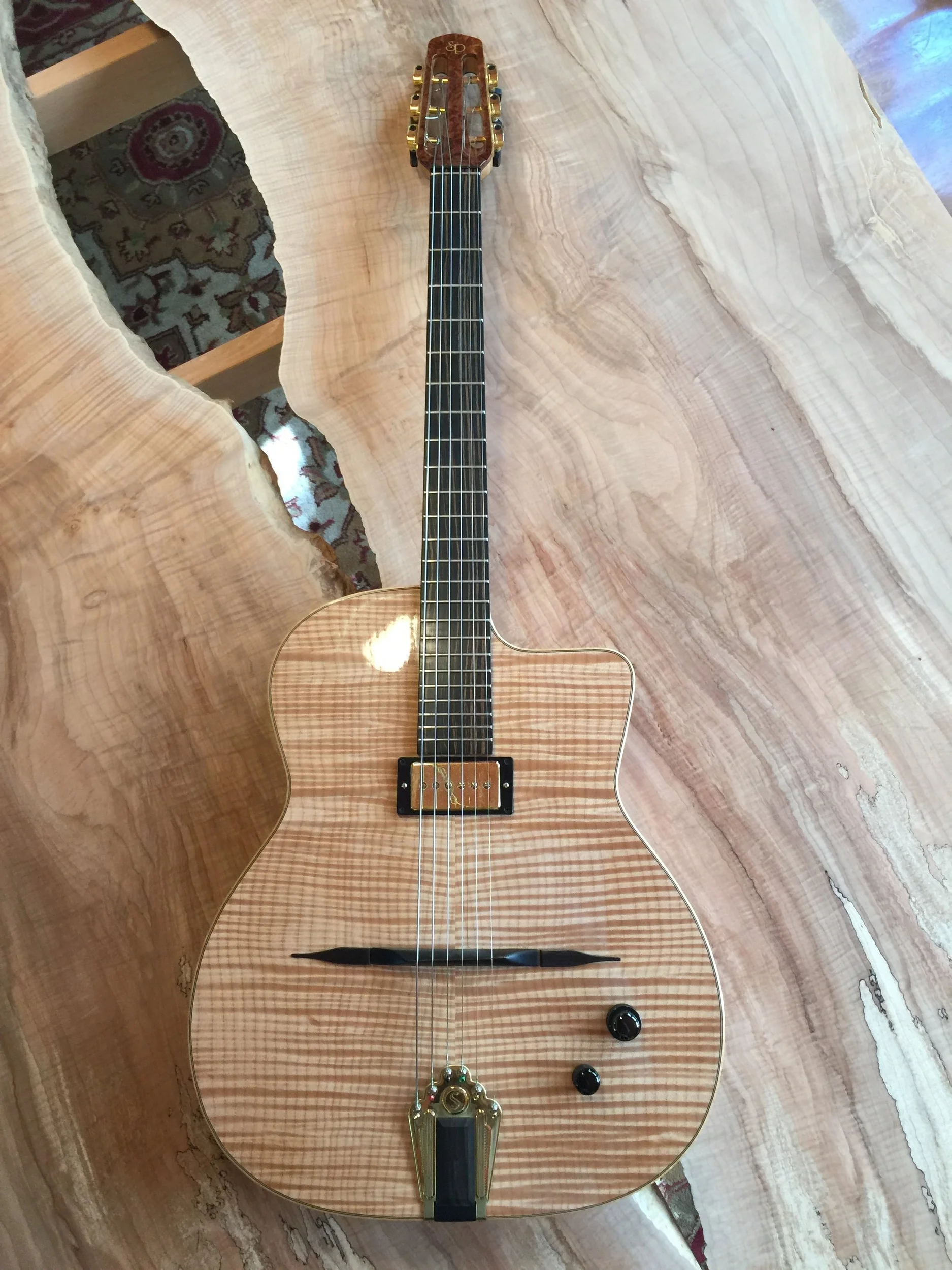 Shelley Park Electric Selmer (2009)