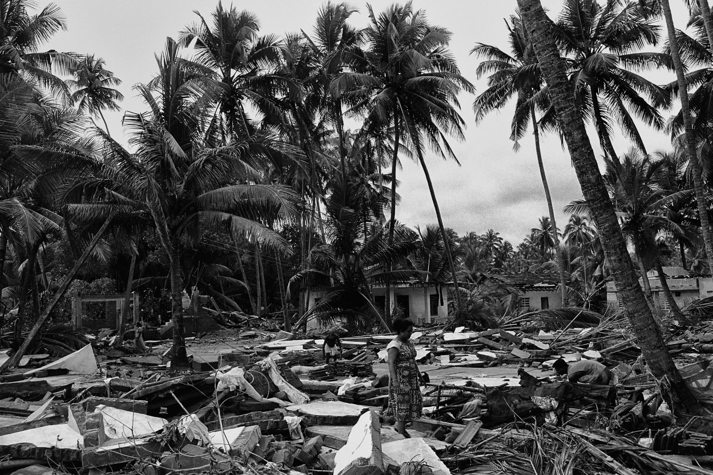 Asian Tsunami Sri Lanka
