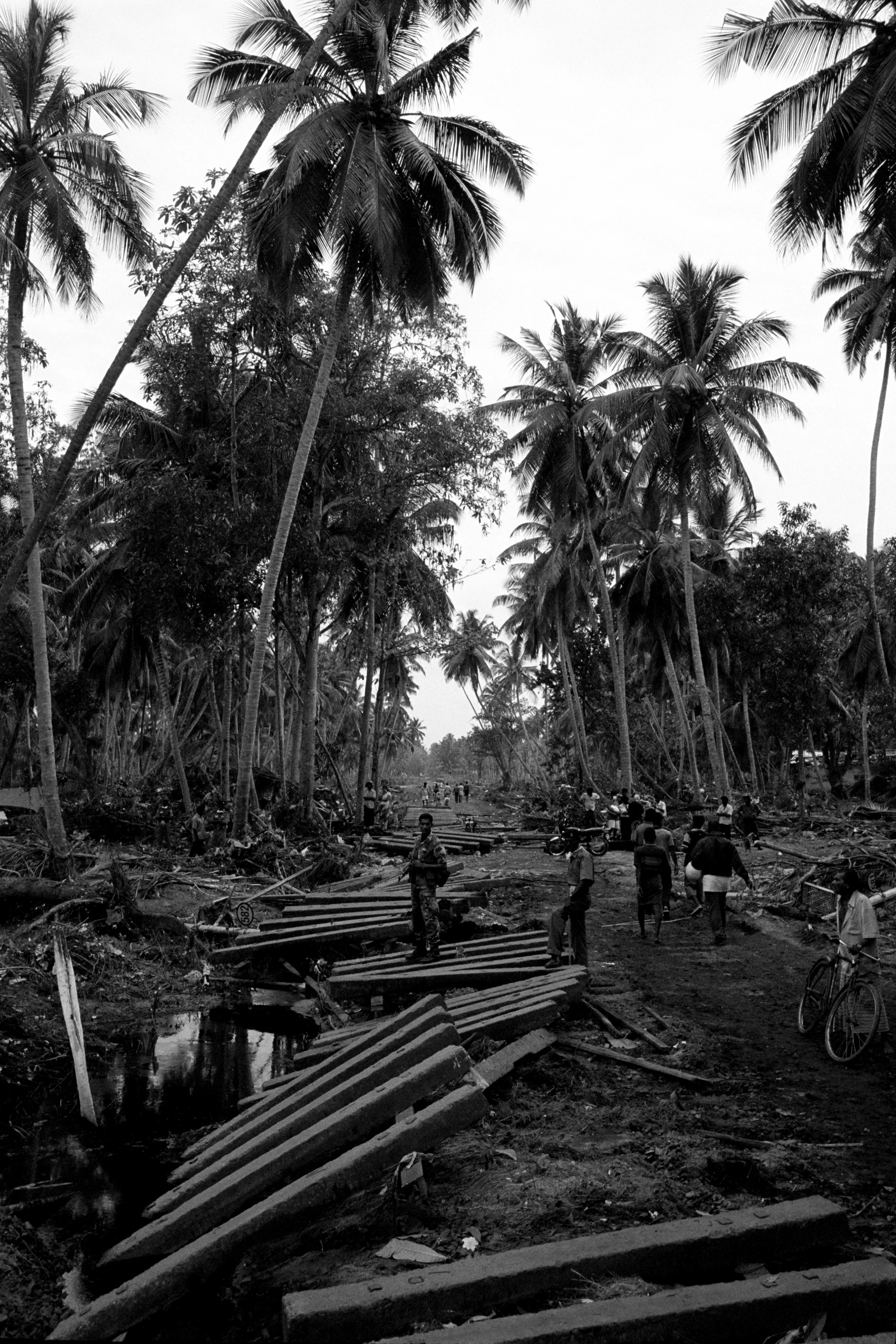 Asian Tsunami Sri Lanka