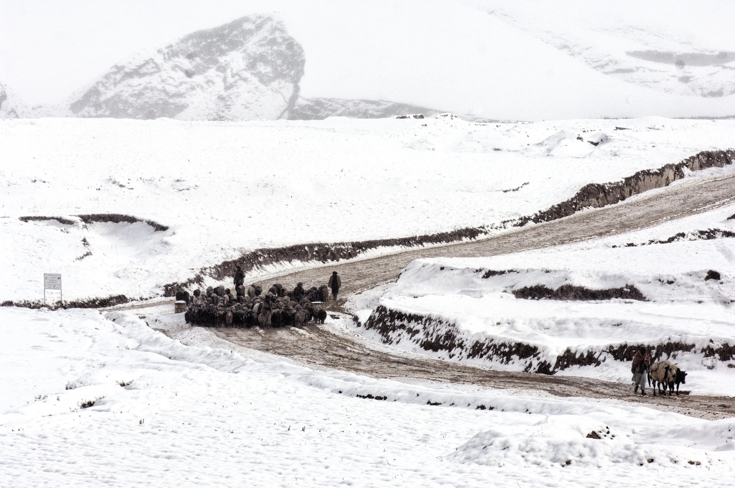 Nearly half the villages in western Afghanistan had been cut off from the major cities due to heavy snowfall, the cold snap hit the agricultural and livestock industry hard with more than 130,000 cattle perishing in the freezing temperatures Faryab Province, Afghanistan, February 21, 2008. (Photo/Mark Pearson)