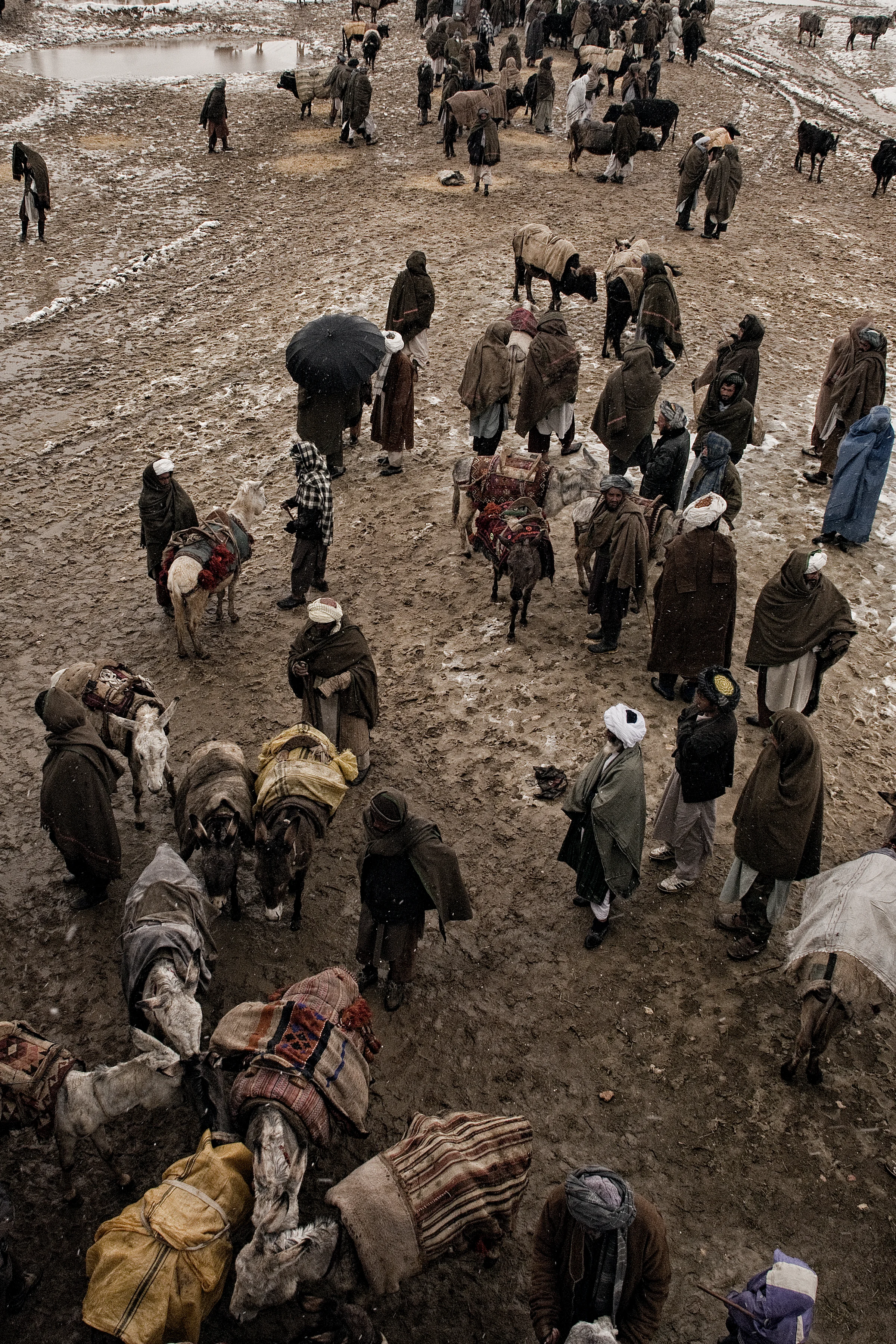 Nearly half the villages in western Afghanistan had been cut off from the major cities due to heavy snowfall, the cold snap hit the agricultural and livestock industry hard with more than 130,000 cattle perishing in the freezing temperatures Faryab Province, Afghanistan, February 18, 2008. (Photo/Mark Pearson)