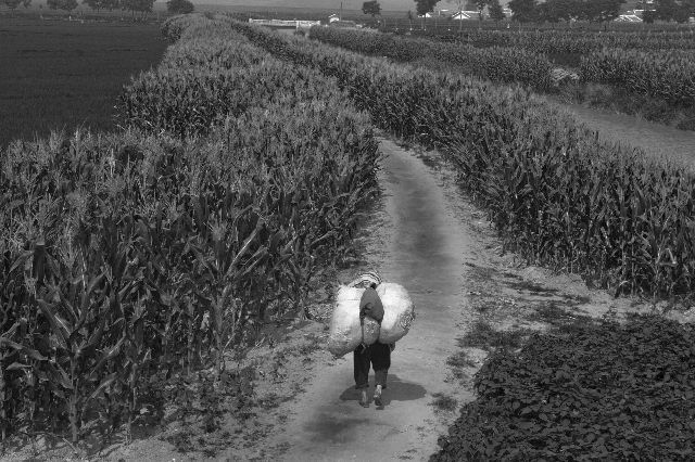 Pyongyan Bukto poverty