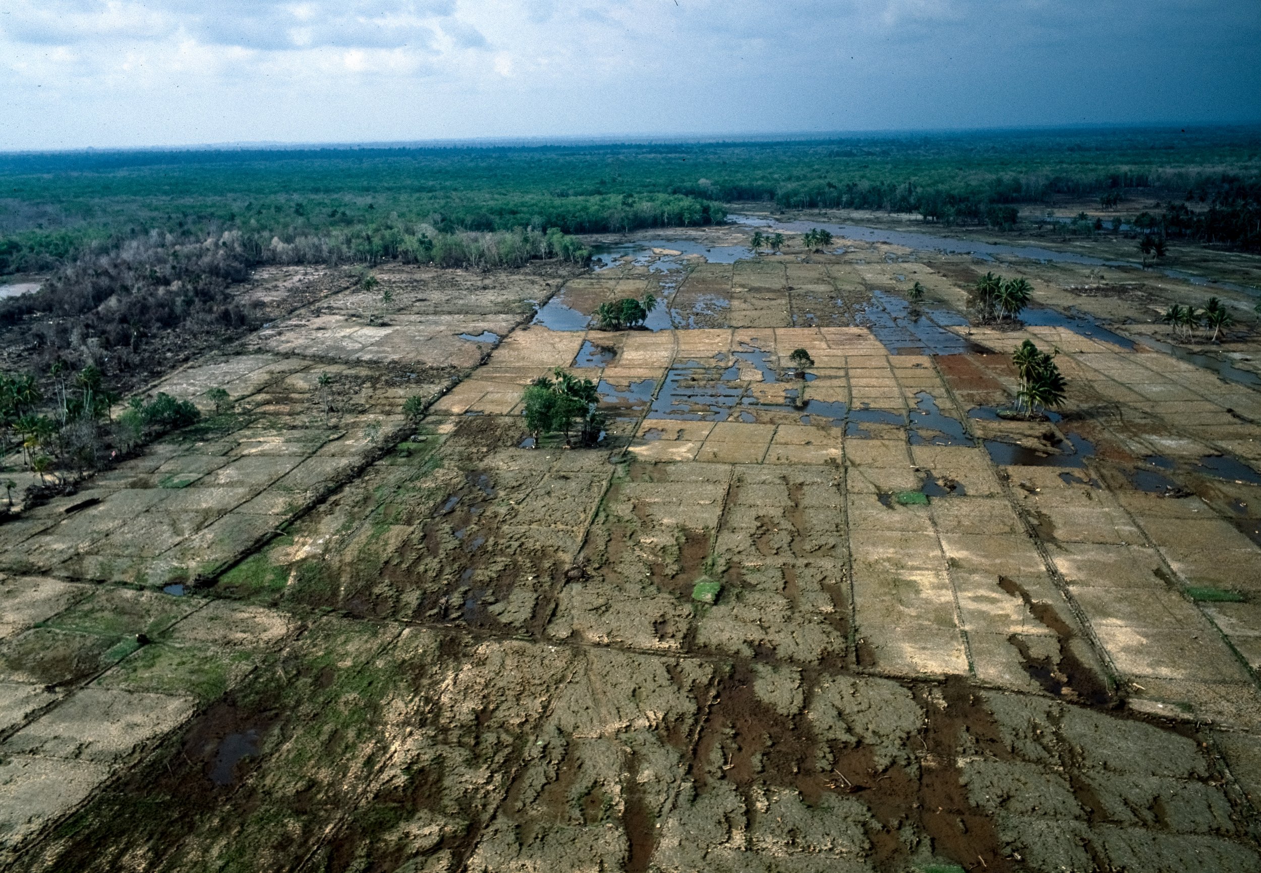 Land destroyed northern Sumatra