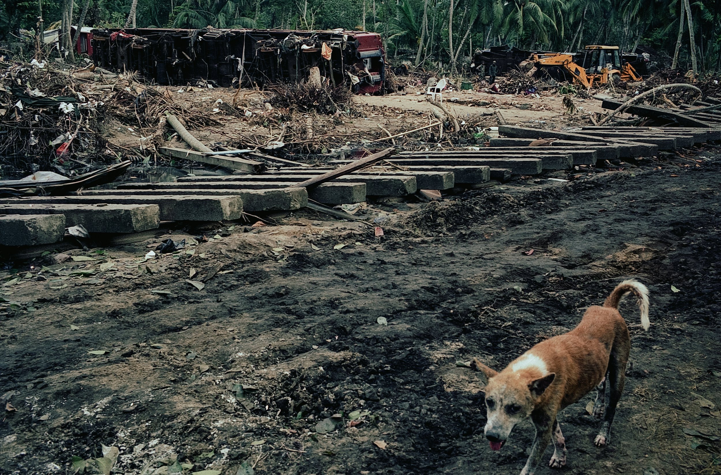 On Dec 26, 2004, a tsunami hit Sri Lanka, derailing the "Queen of the Sea" train, killing 1,700-2,500 passengers, and leaving only about 150 survivors. Telwatta, Sri Lanka, December 31, 2004 © Mark Pearson