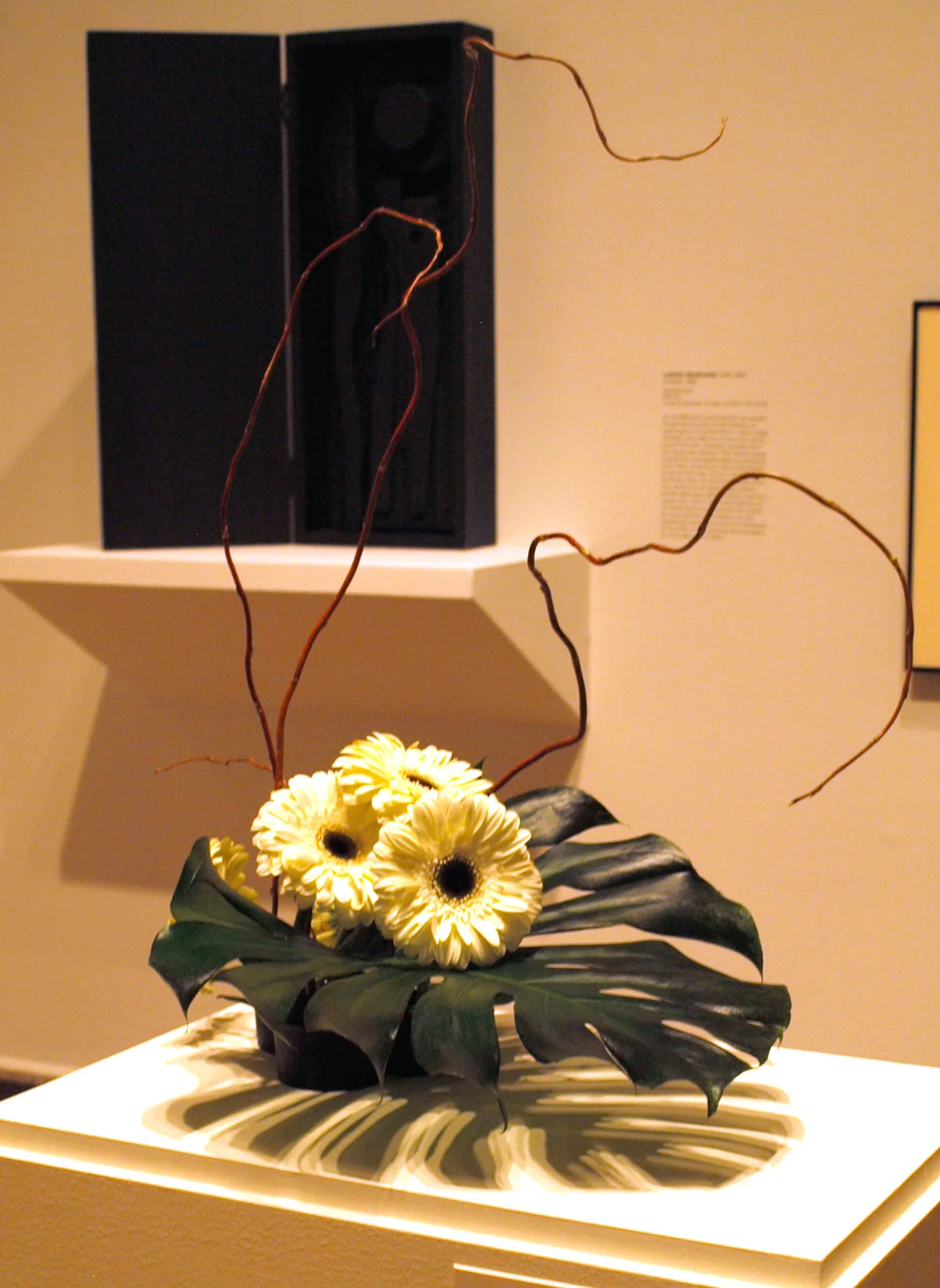 (1) Joyce Baksh:ncri.jpg
