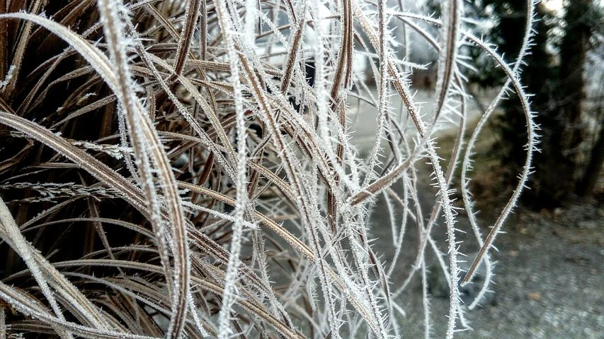 crystals-of-dreams-2827958__480.jpg