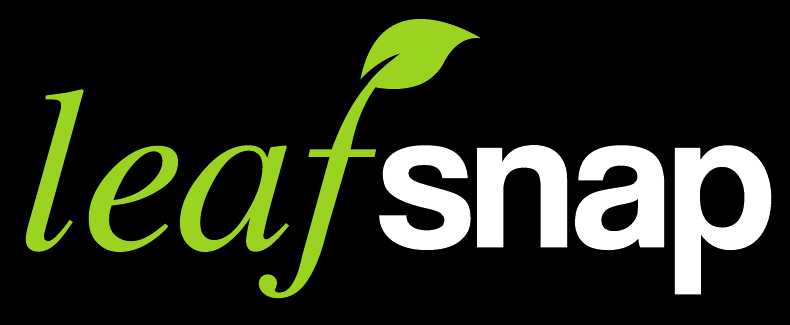 leafnap.png