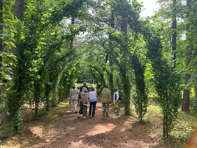 IMG_6829.JPG