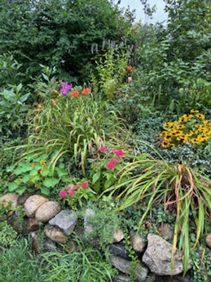 IMG_1537.jpeg