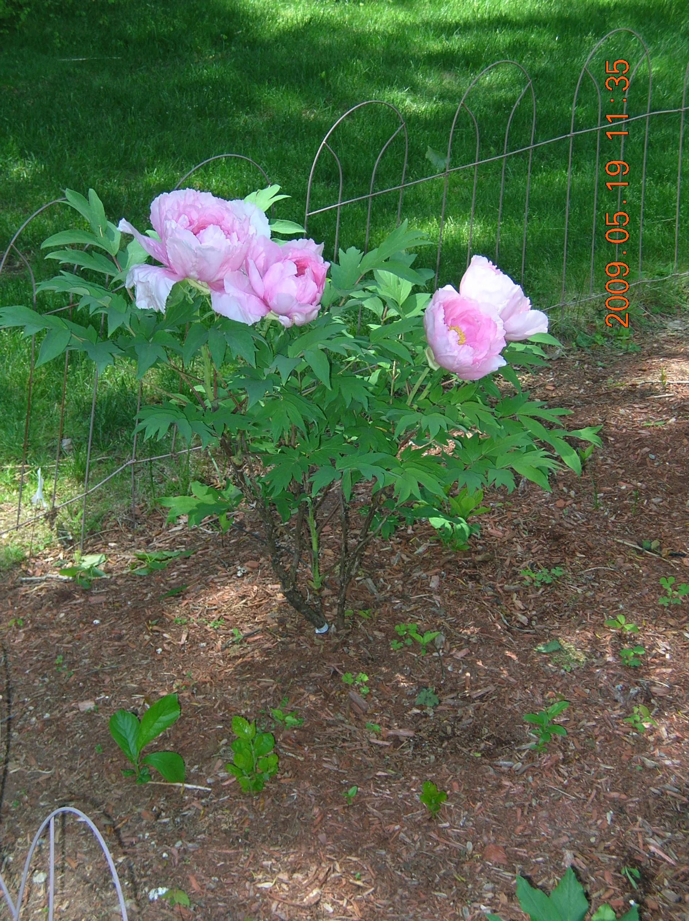 DSCN1146.JPG