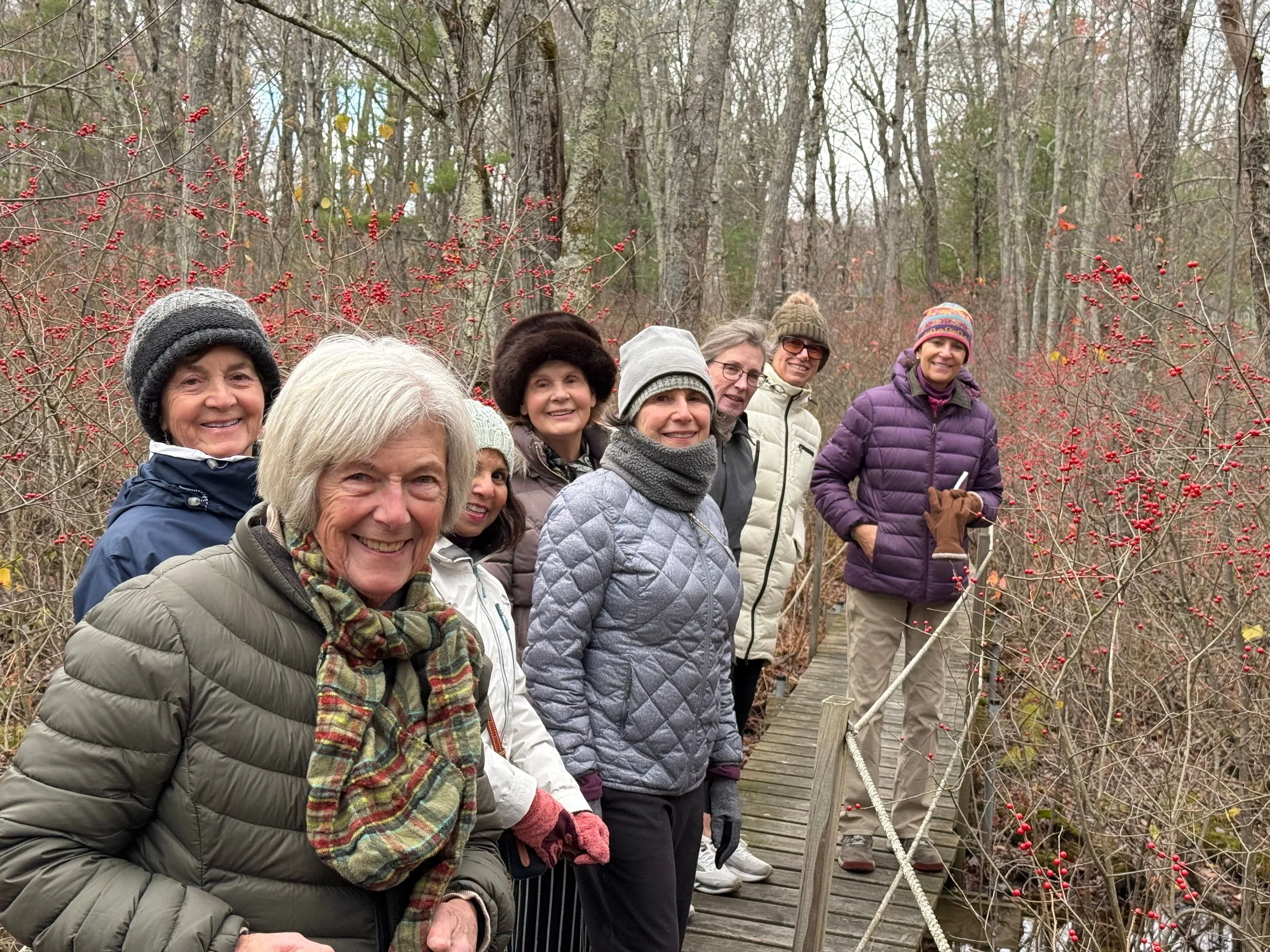 pic - Doyle Link Walk.jpeg