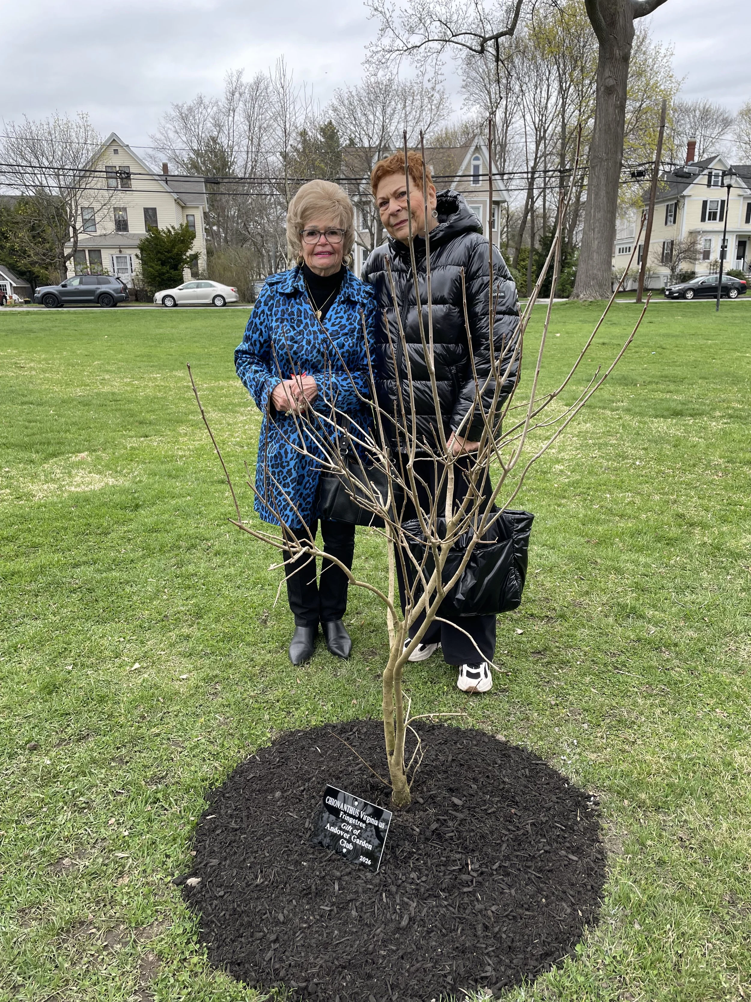 pic3 - earthday 2026.jpeg