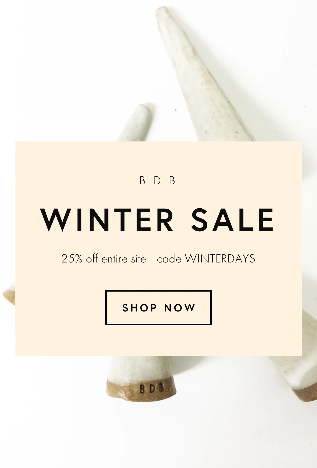 Winter Sale