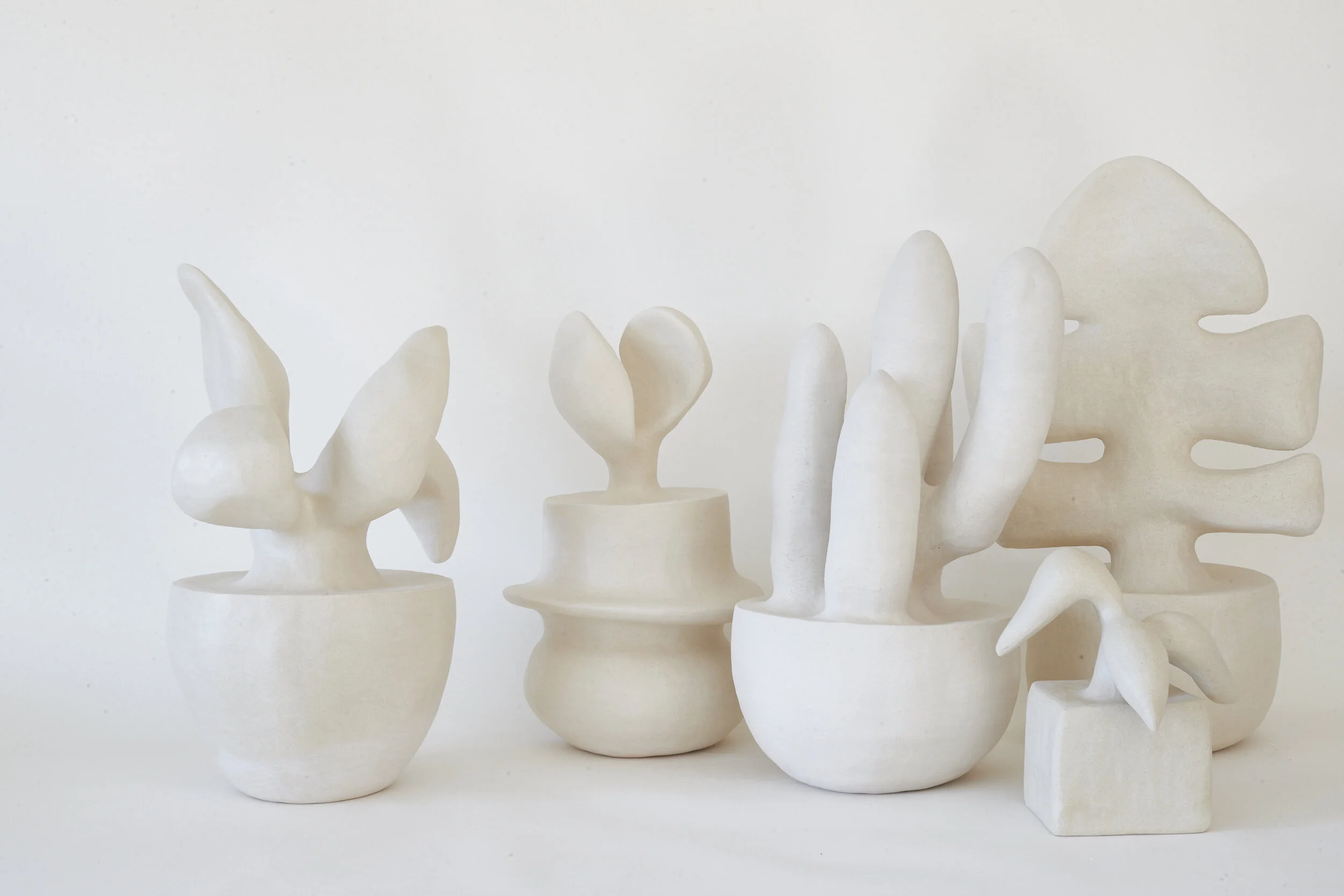 Re Jin Lee | Plants