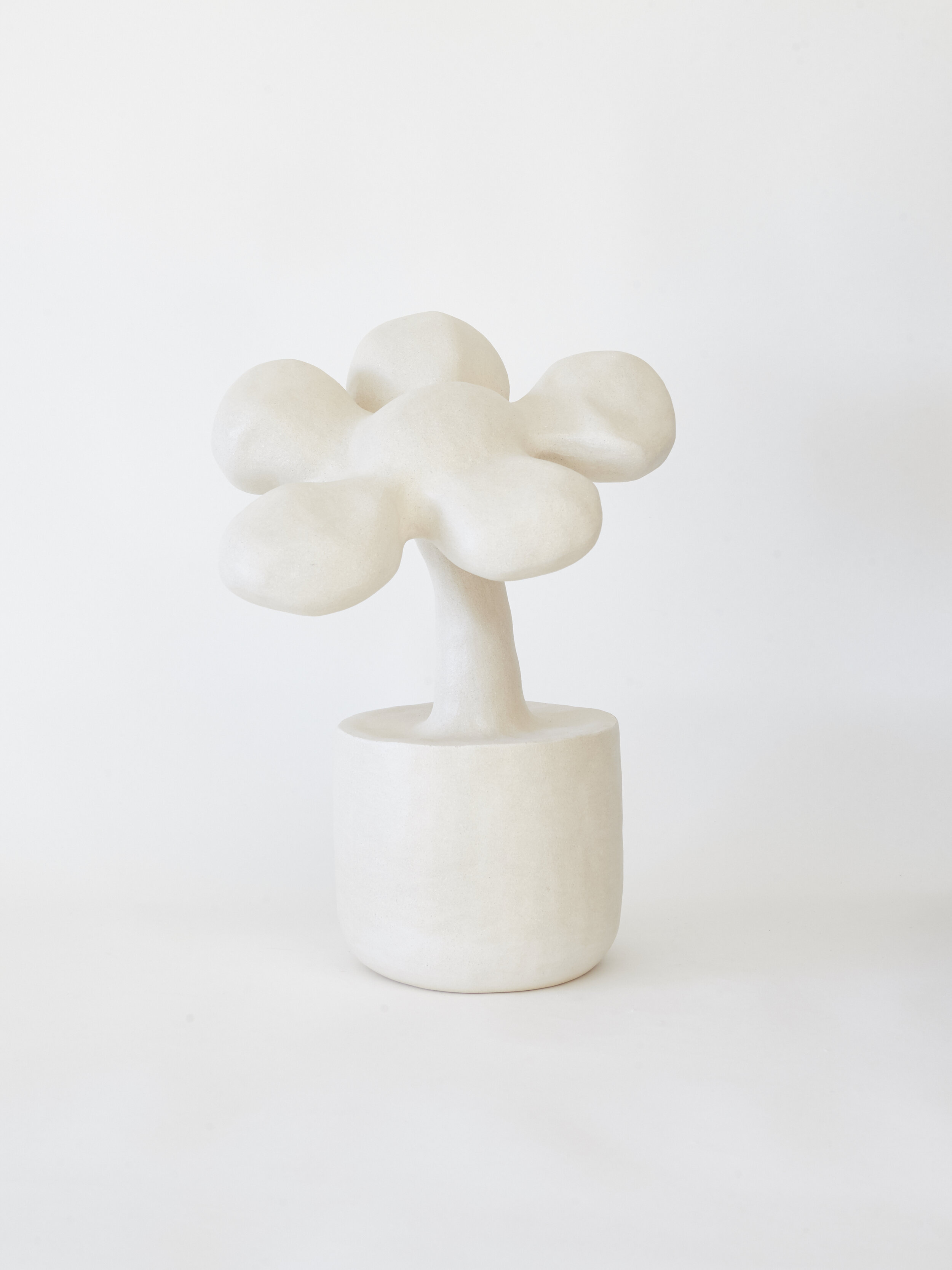 Plant no. 8