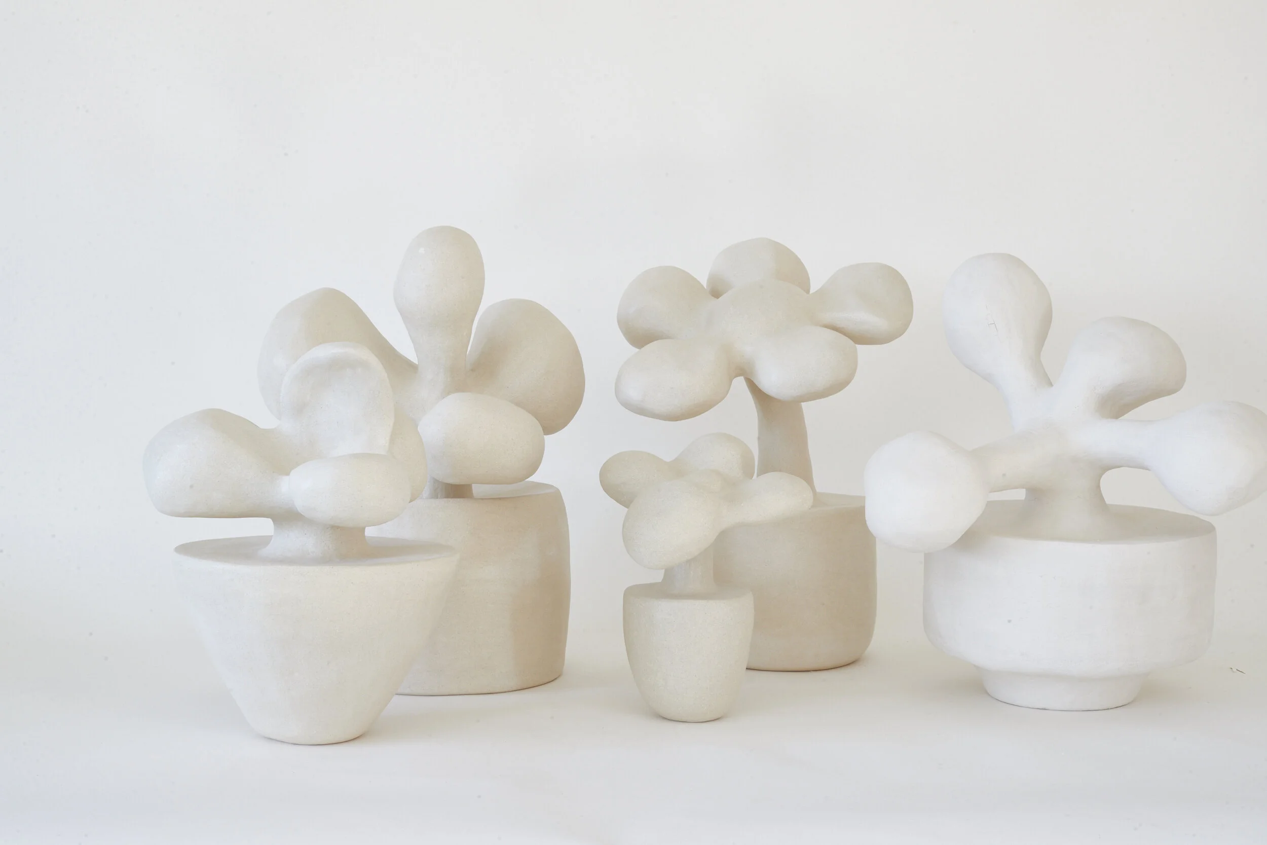 Re Jin Lee | Plants