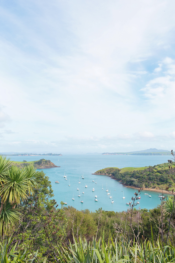 Everything you need to know about wine tasting on Waiheke Island near Auckland in New Zealand