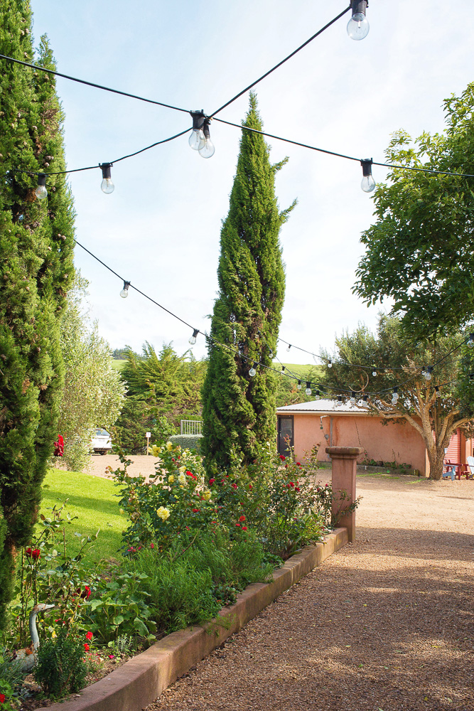 The gorgeous grounds of Casita Miro