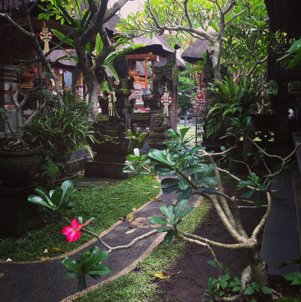 Travel influencer @elisedarma's favorite place of all time: Ubud, Bali