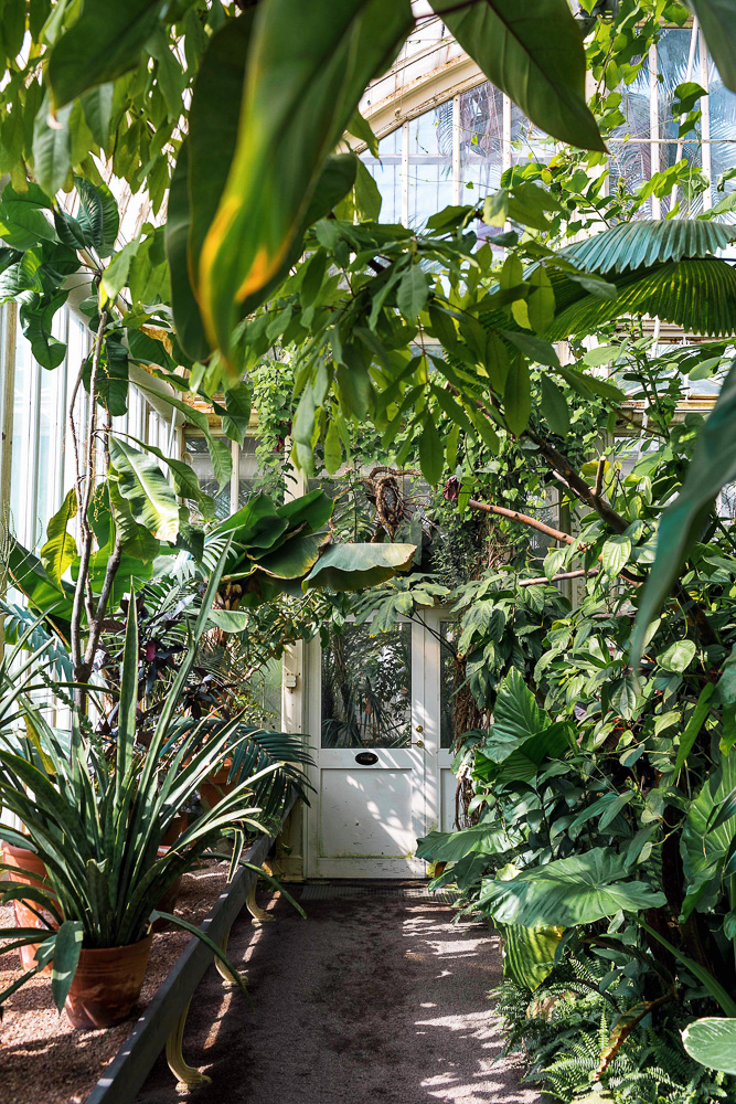 The most Instagrammable place in Gothenburg - the Palm House at Garden Society of Gothenburg (Trädgårdsföreningen)