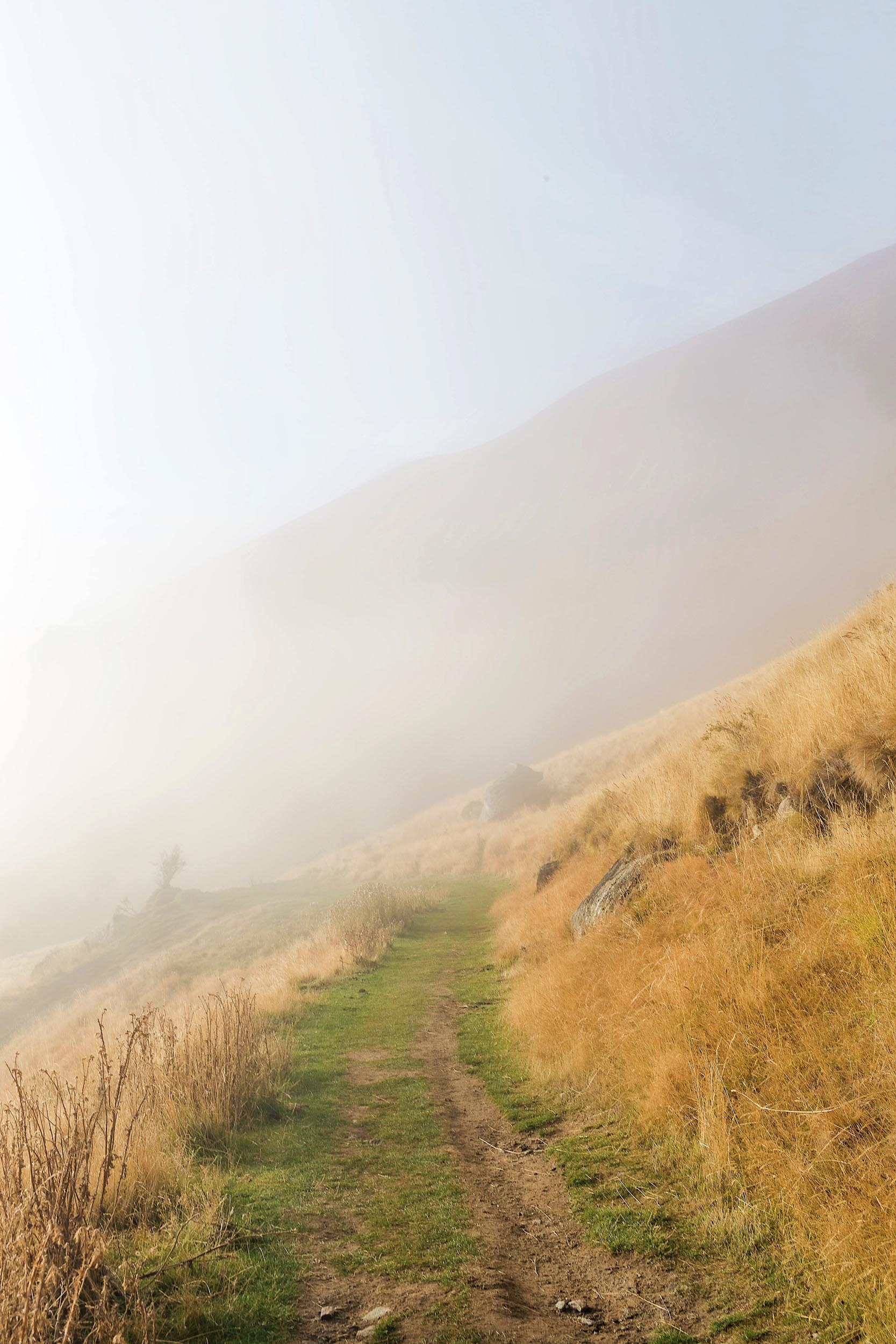 Foggy views during the hike to Roys Peak in New Zealand