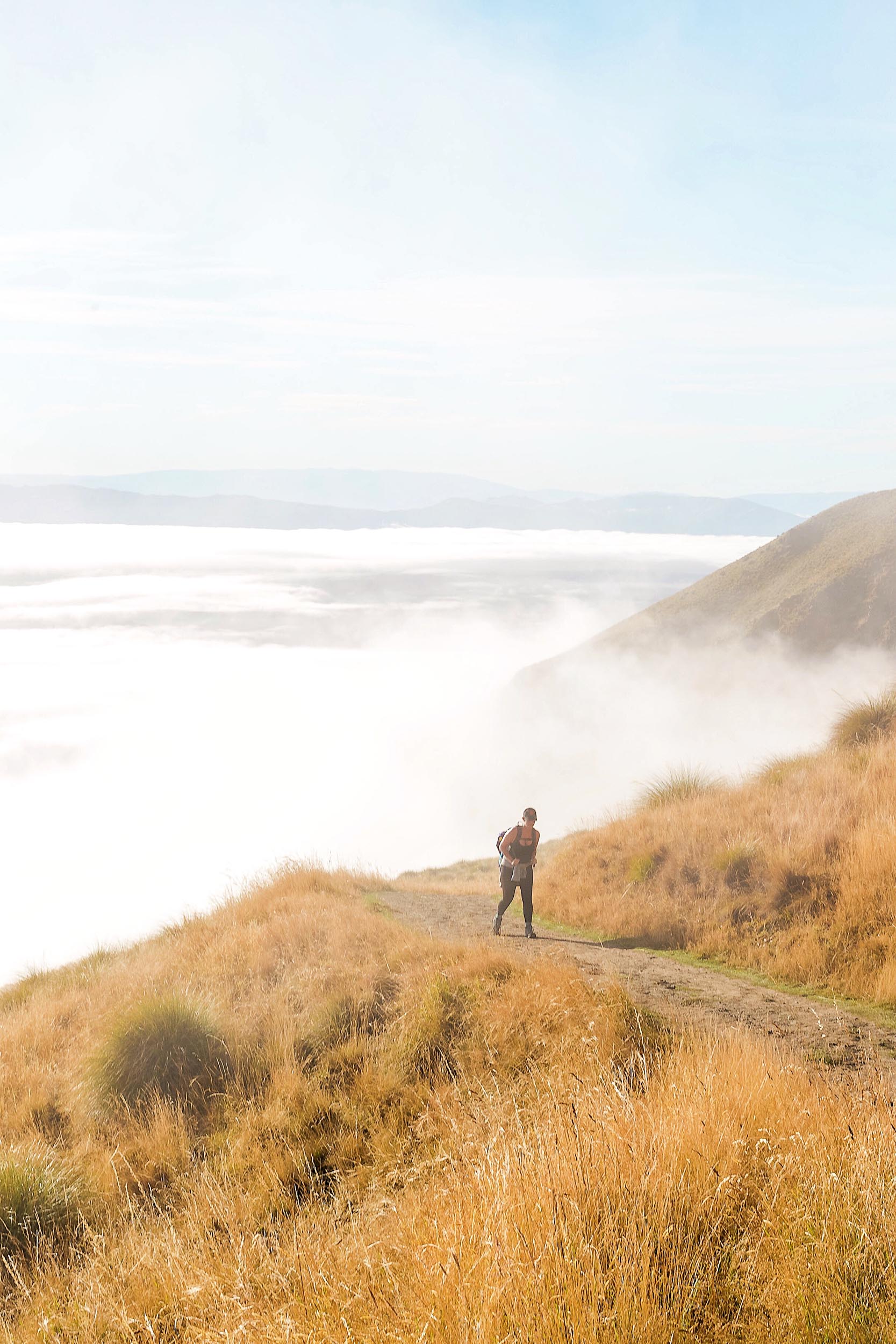 Above the clouds in New Zealand during the Roys Peak tramp