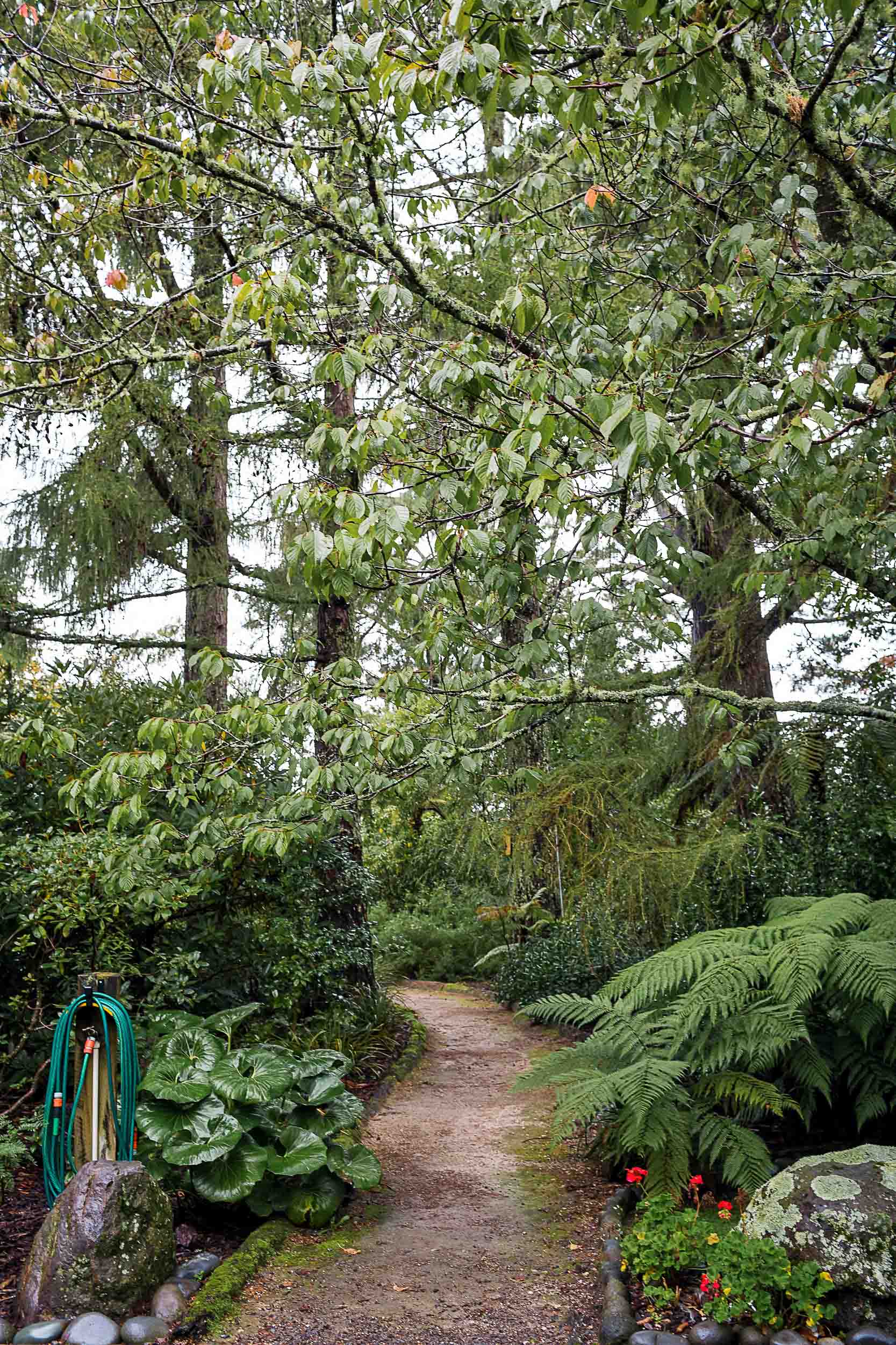 If you are planning to hike the Tongariro Alpine Crossing, consider staying in the woods at Creel Lodge in Turangi the night before