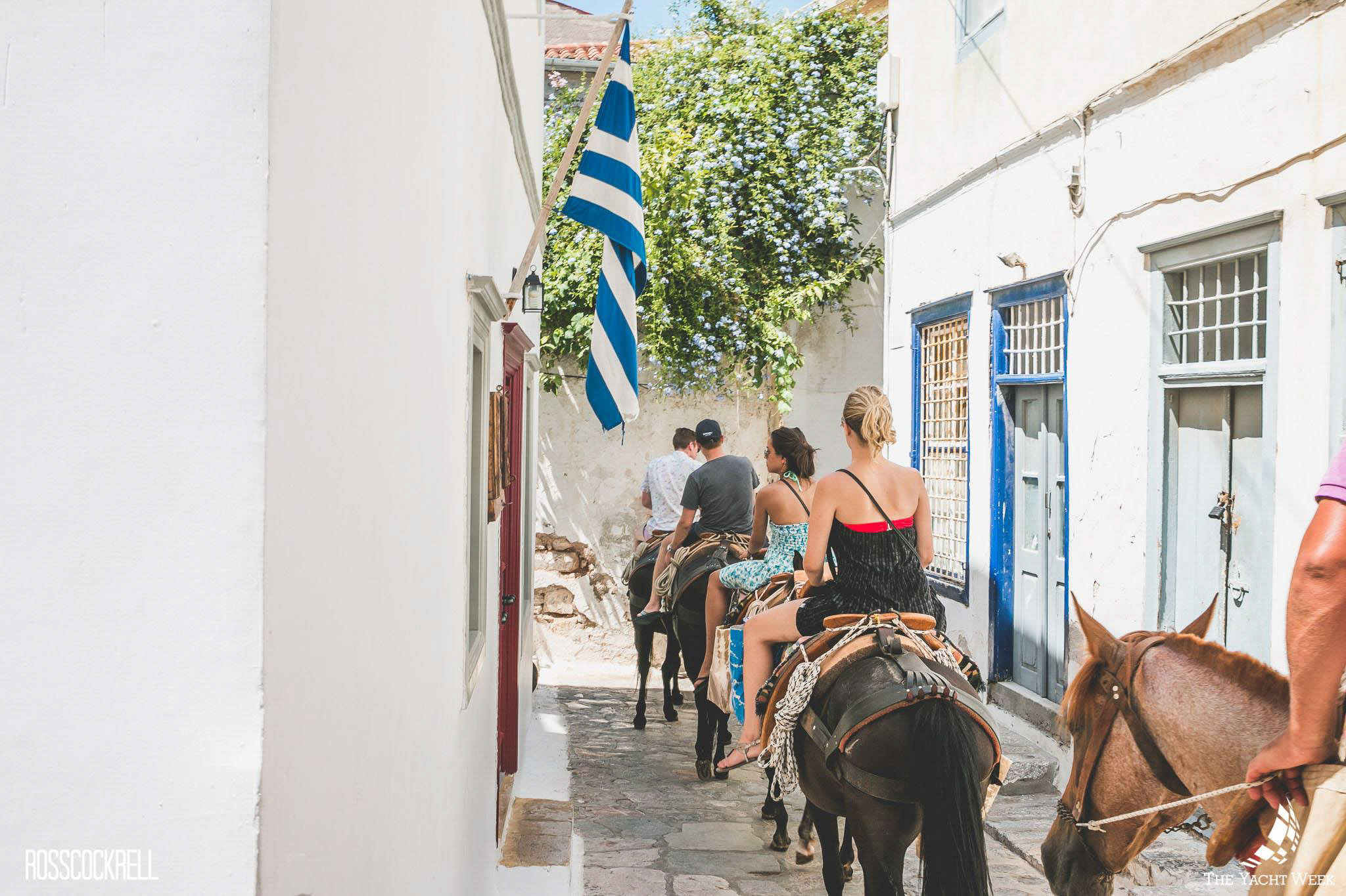 Donkey rides at The Yacht Week in Hydra, Greece!