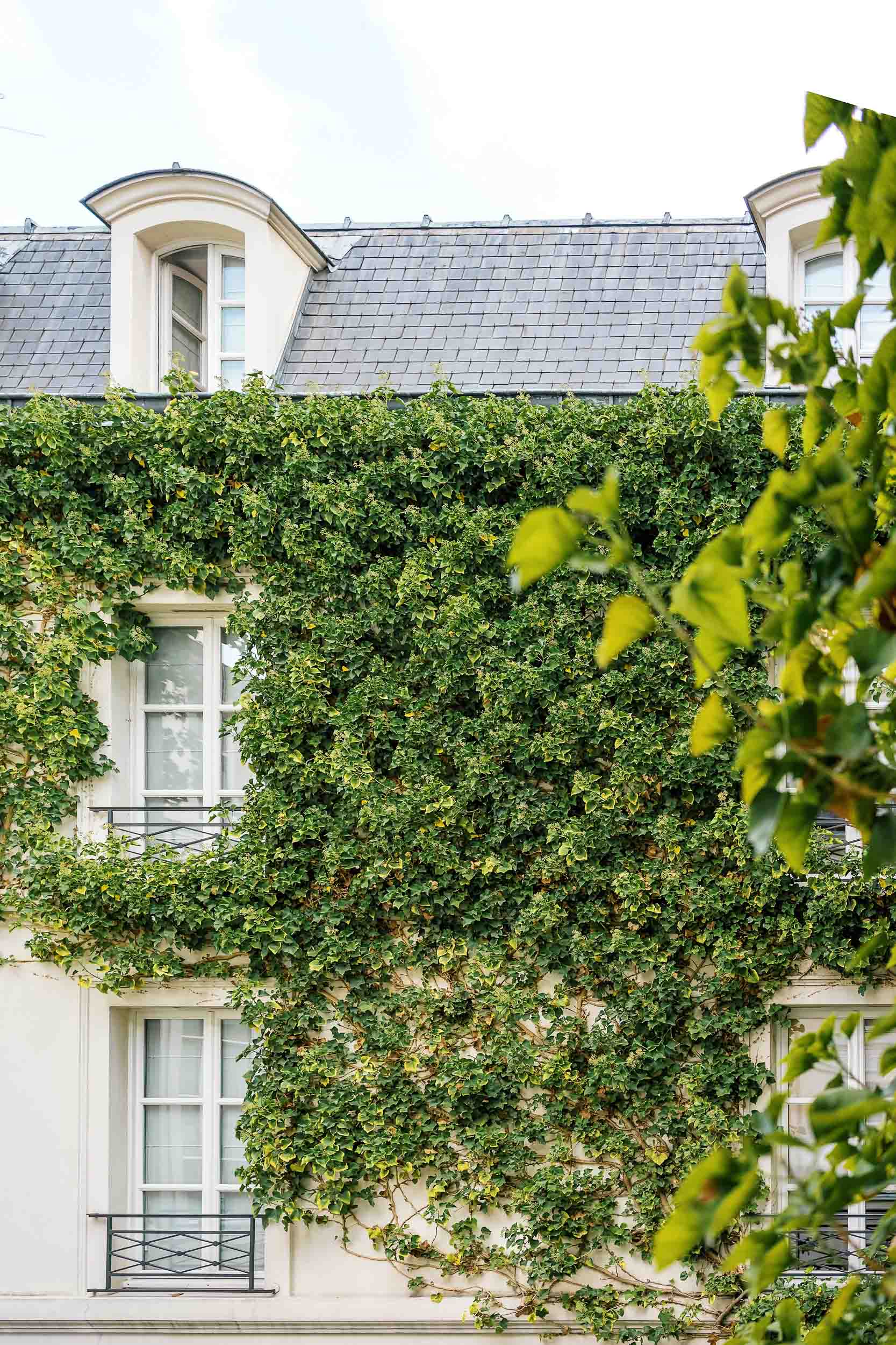 Gorgeous views from a room at Paris' best five star hotel, Pavillon de la Reine