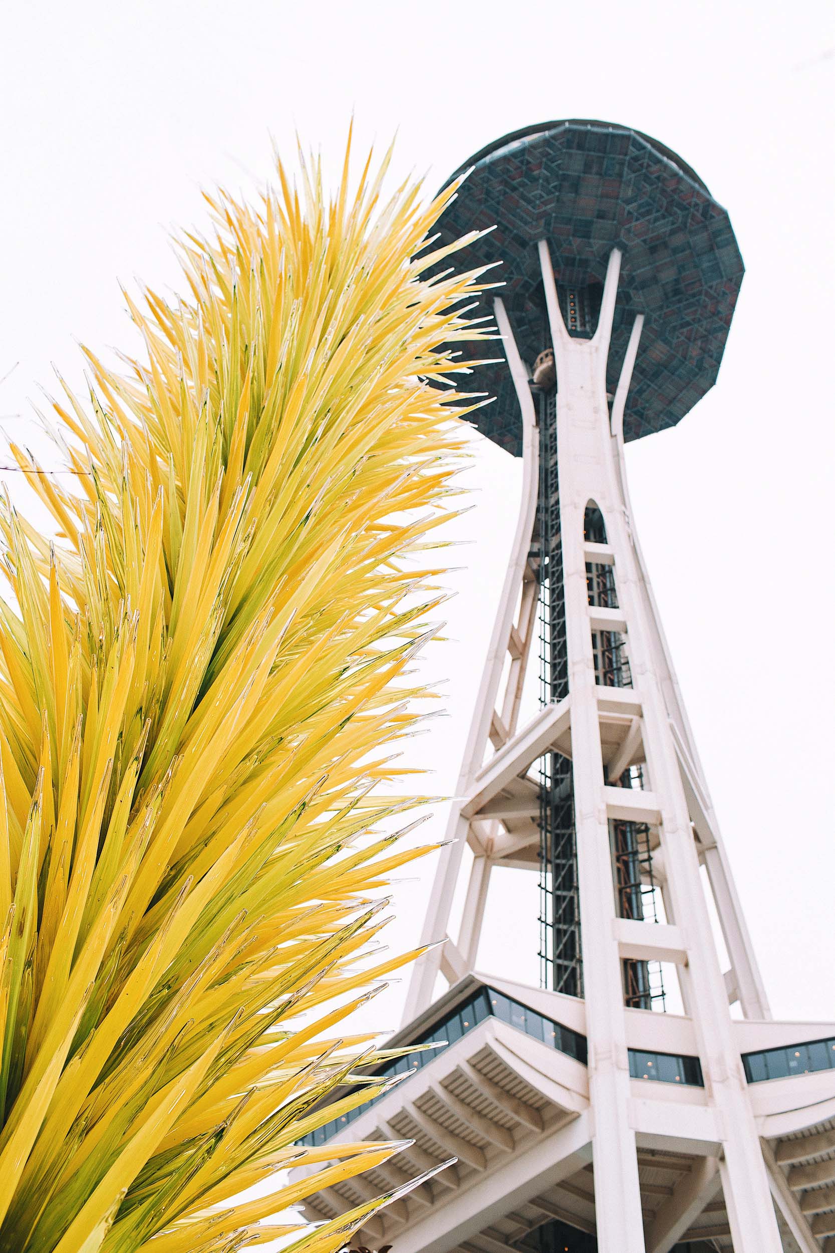 Everything you need to know about visiting Seattle, from a local!