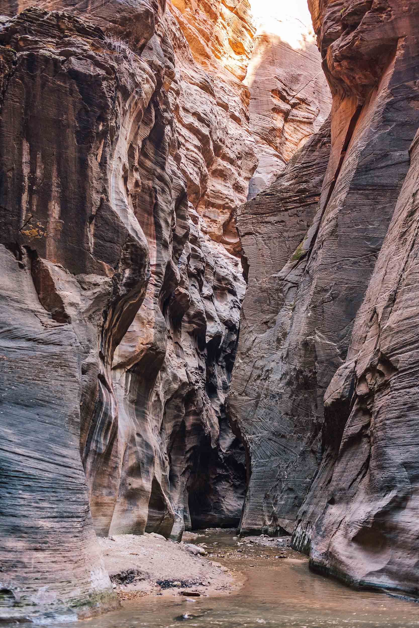 The Narrows at Zion National Park completely crowd-free during winter