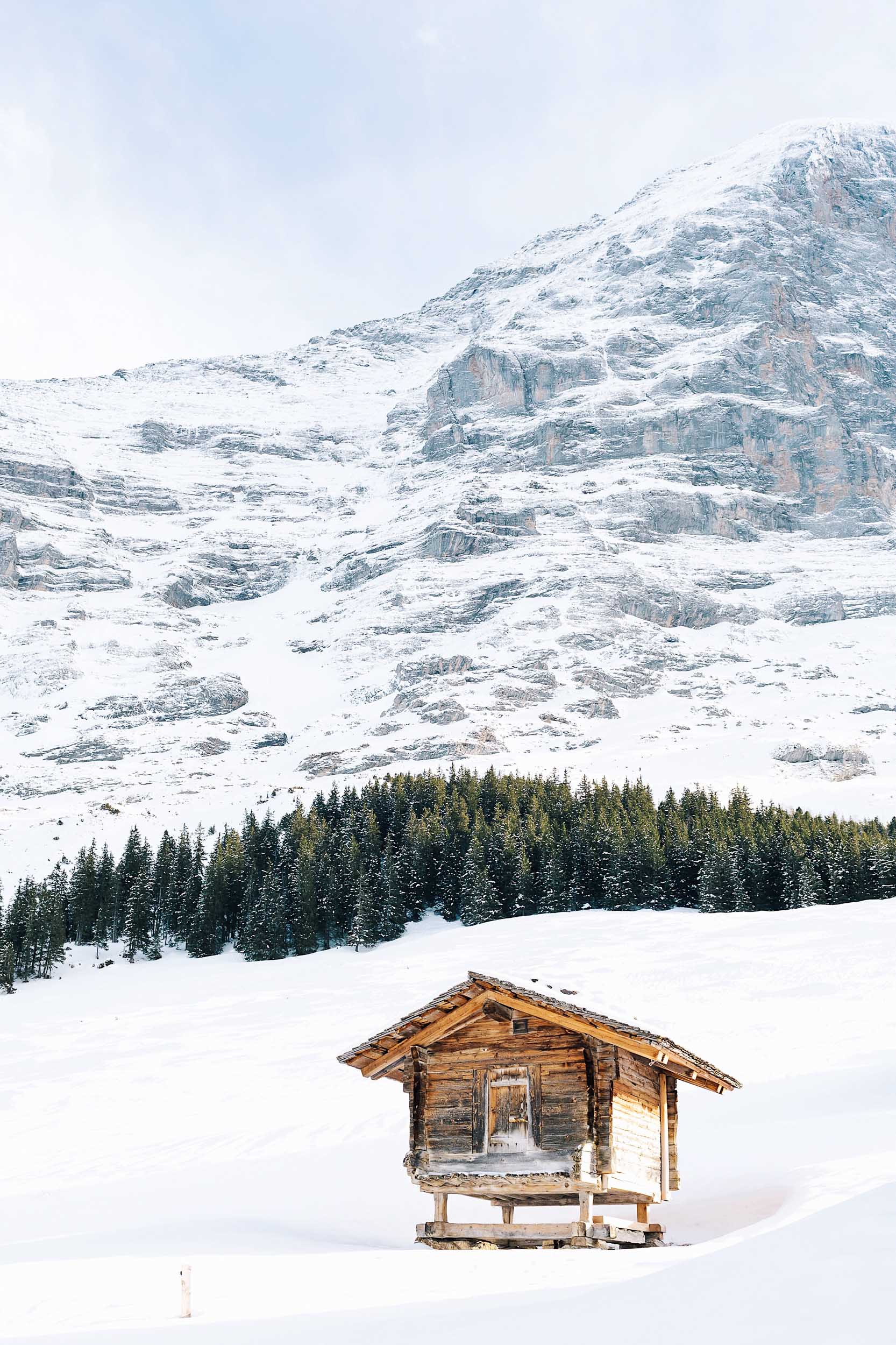 A lone log cabin in Switzerland