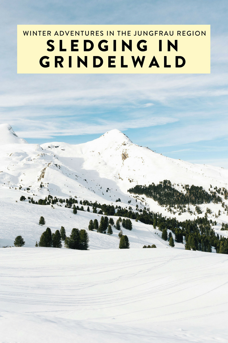 Sledging in Grindelwald in the Jungfrau Region is one of the most fun and exciting things I have done. If you plan to visit Switzerland during winter, don't miss this!