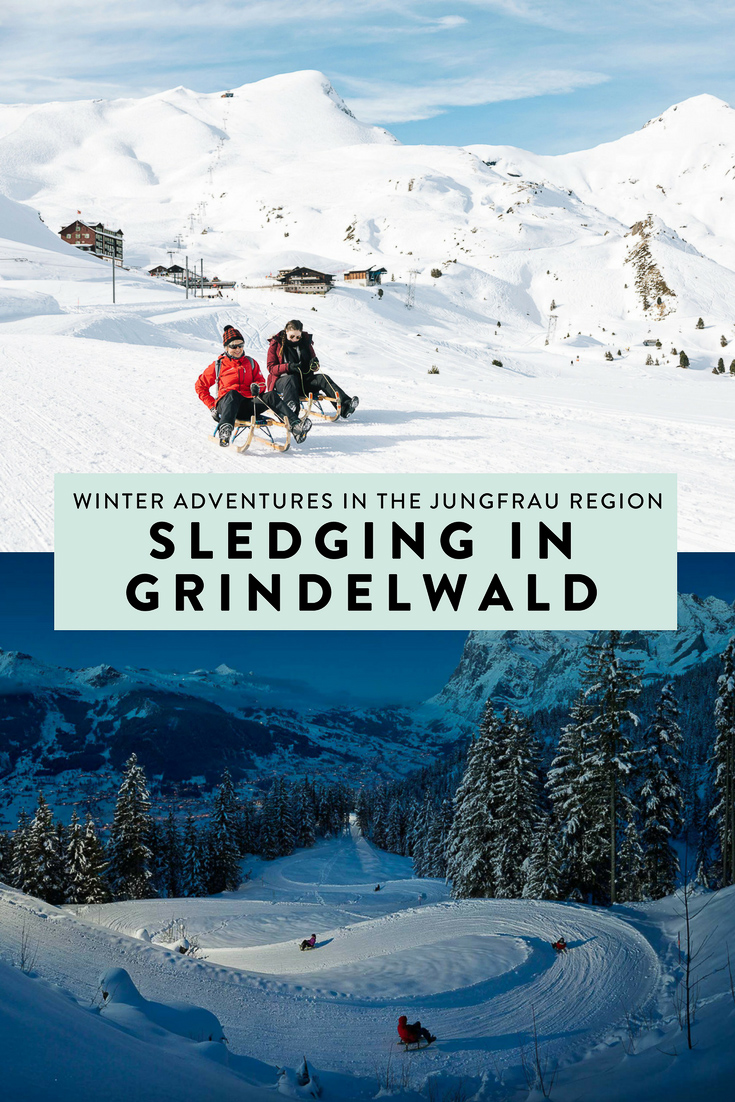 Sledging in Grindelwald in the Jungfrau Region is one of the most fun and exciting things I have done. If you plan to visit Switzerland during winter, don't miss this!