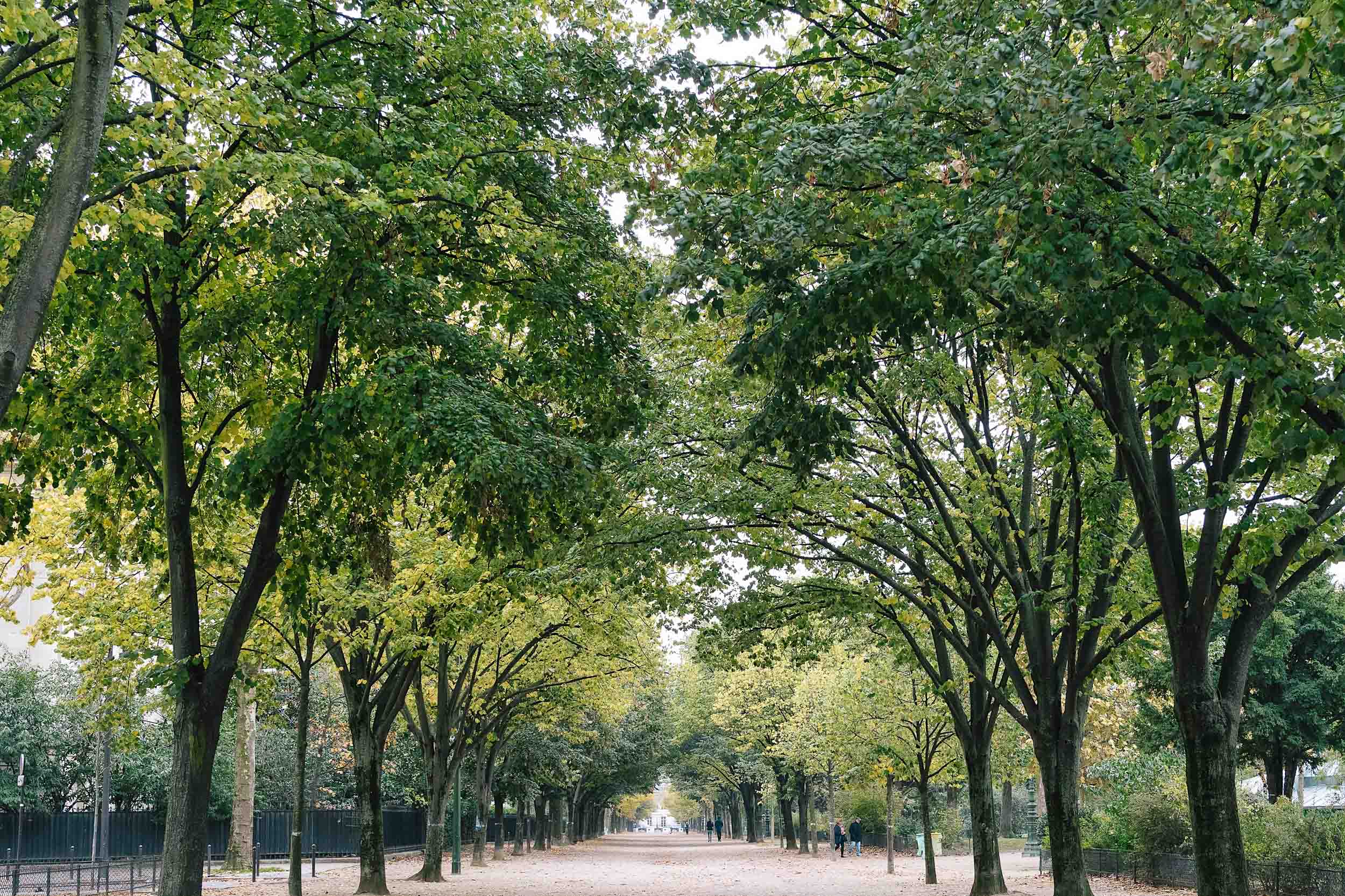 Spring in Paris is when you will notice the city starting to reawaken after the cold winter days