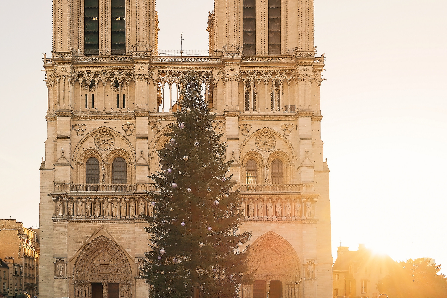 Christmas in Paris is a scene to be seen
