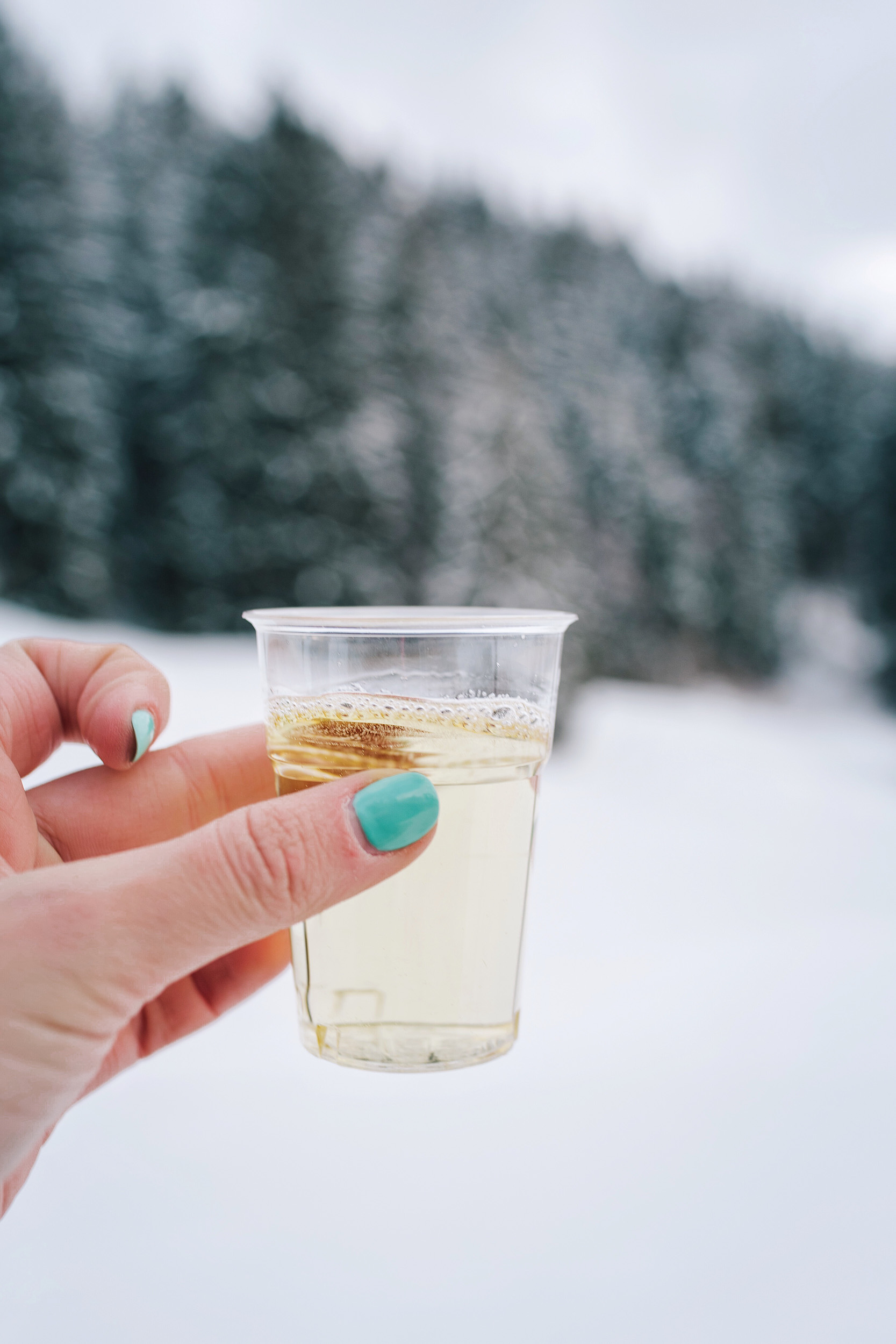 What to do with the leftover wine from your fondue? Drink it!