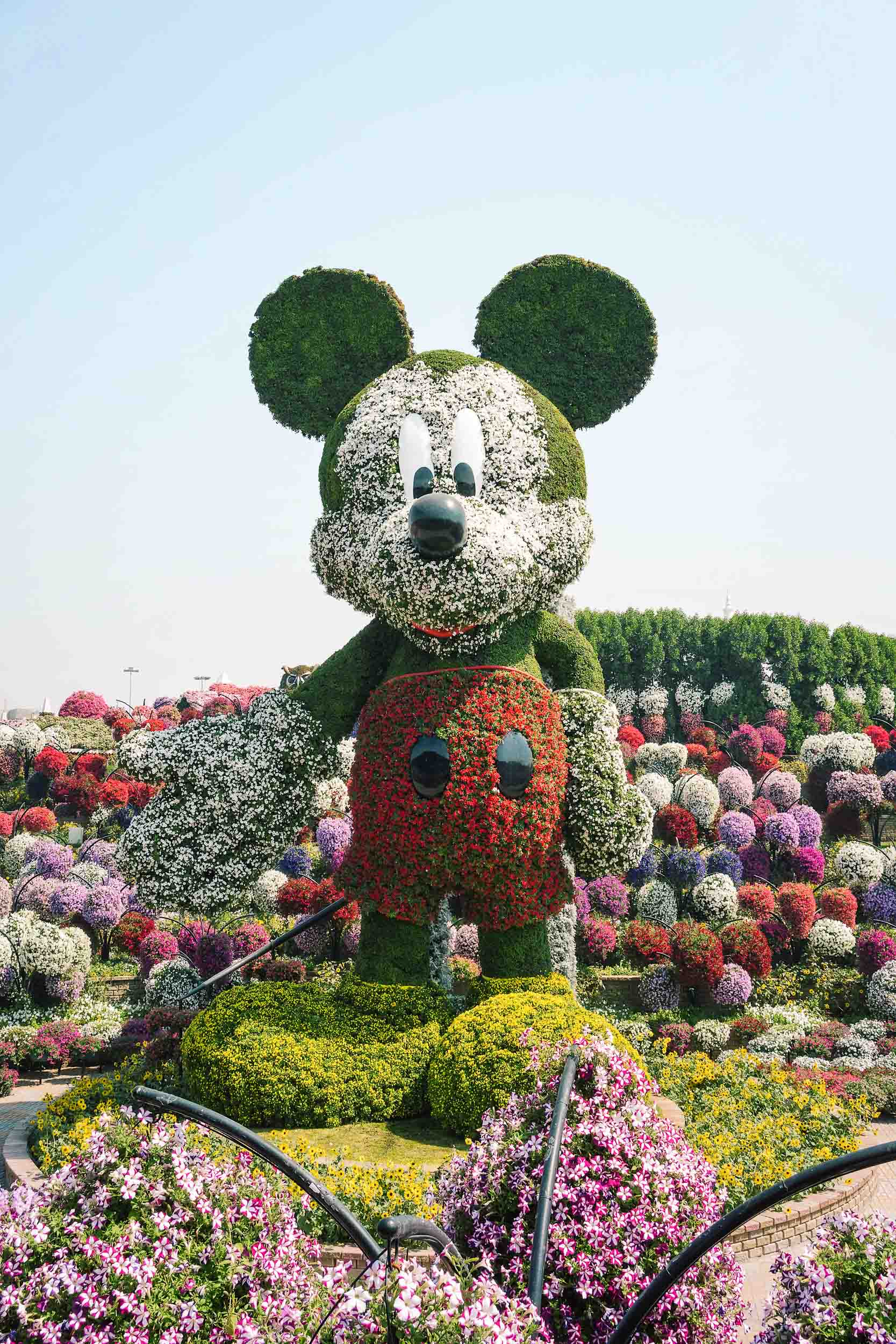 Mickey Mouse at the Dubai Miracle Garden