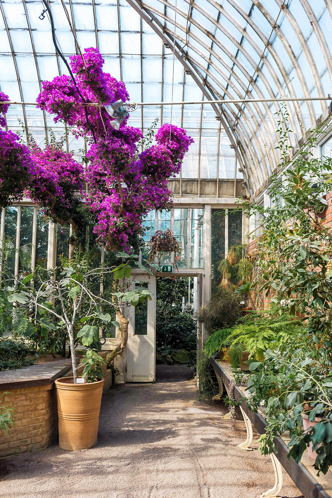 The Palm House greenhouse in the Garden Society of Gothenburg