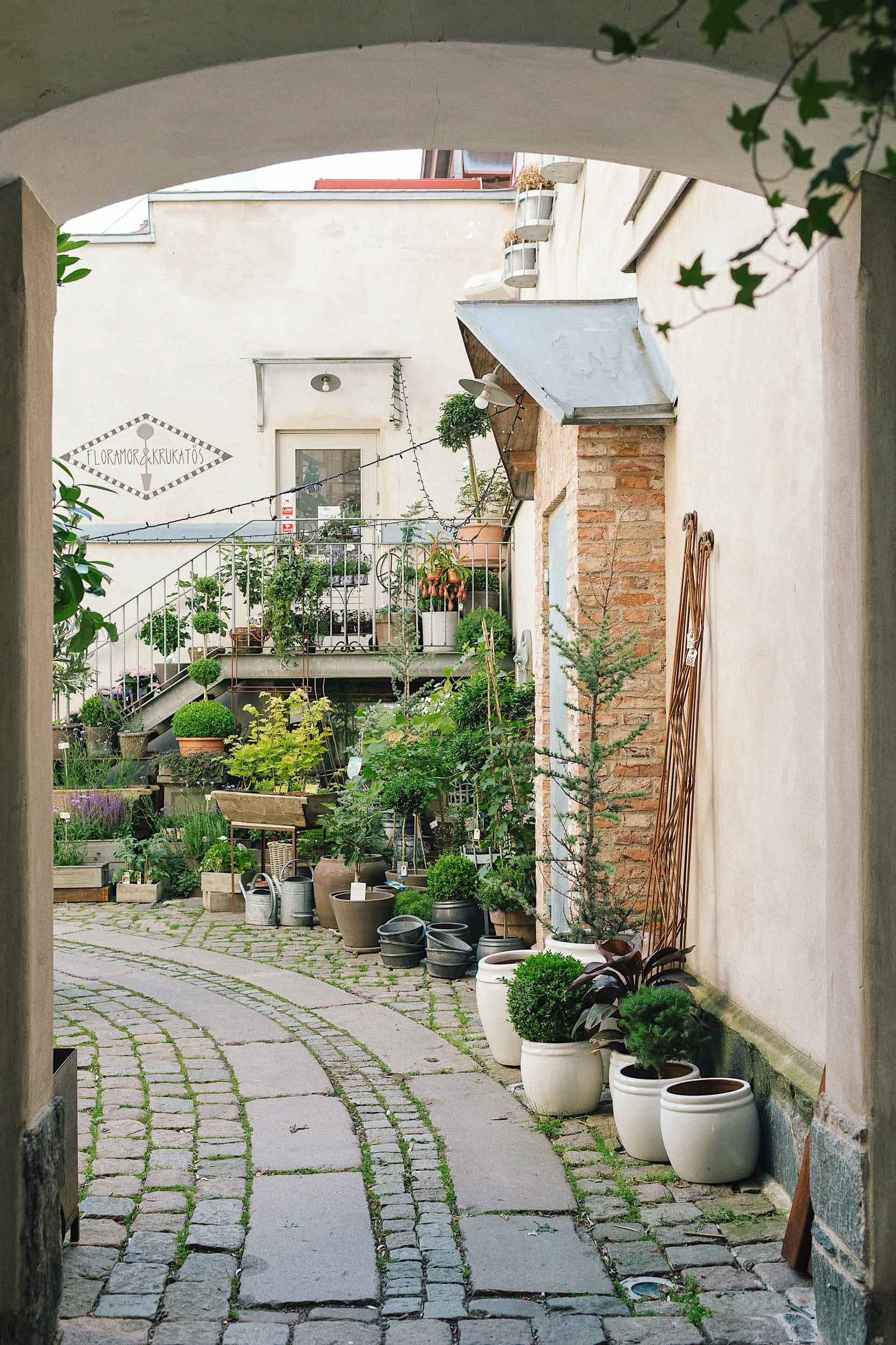 The back courtyard at da Matteo