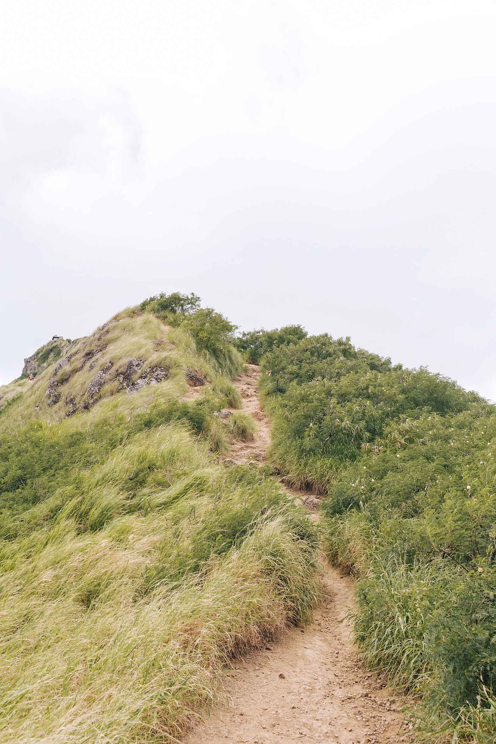 What the trail looks like on the Lanikai Pillboxes hike